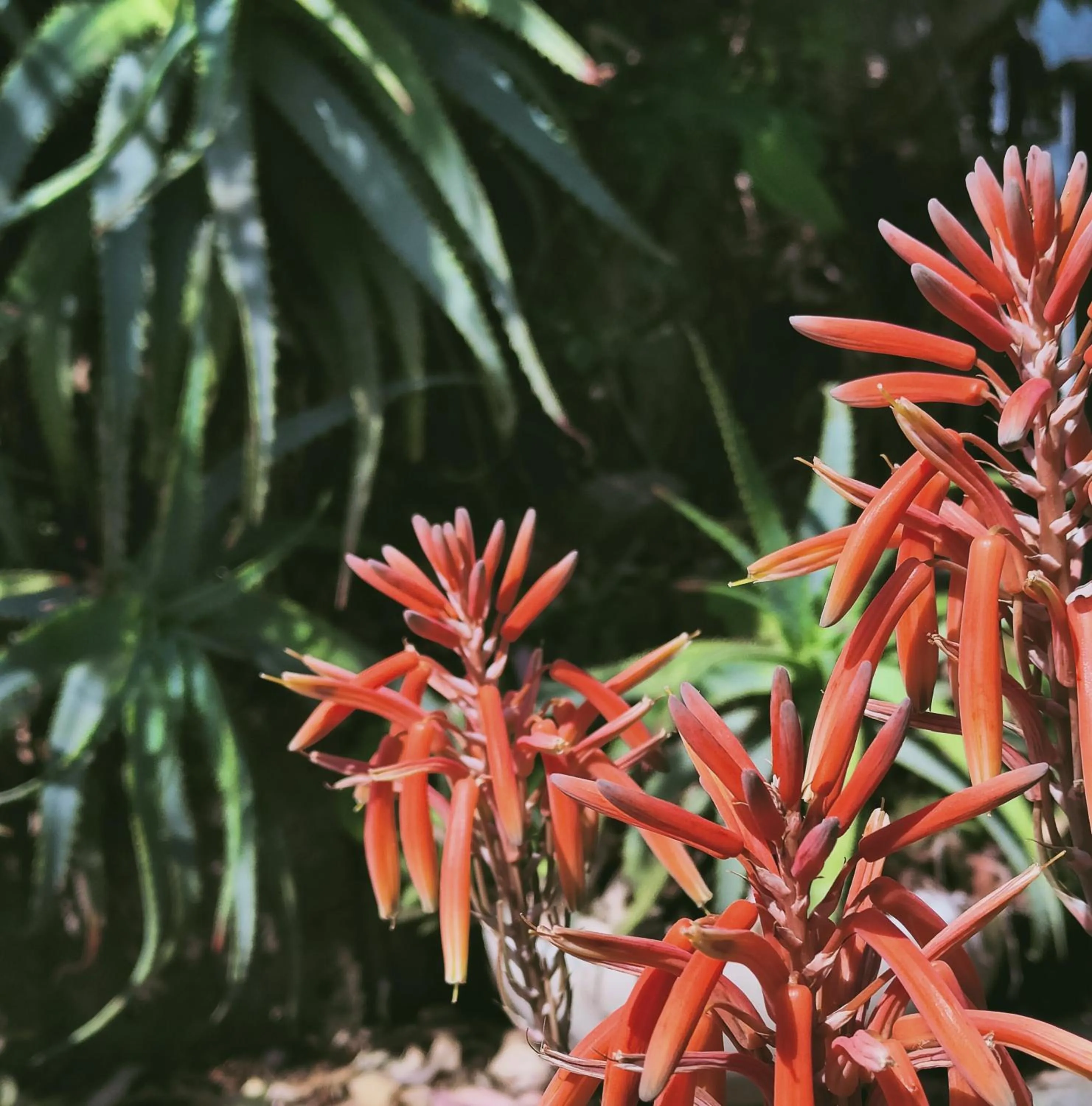 Day in Hotel Scoglio Bianco