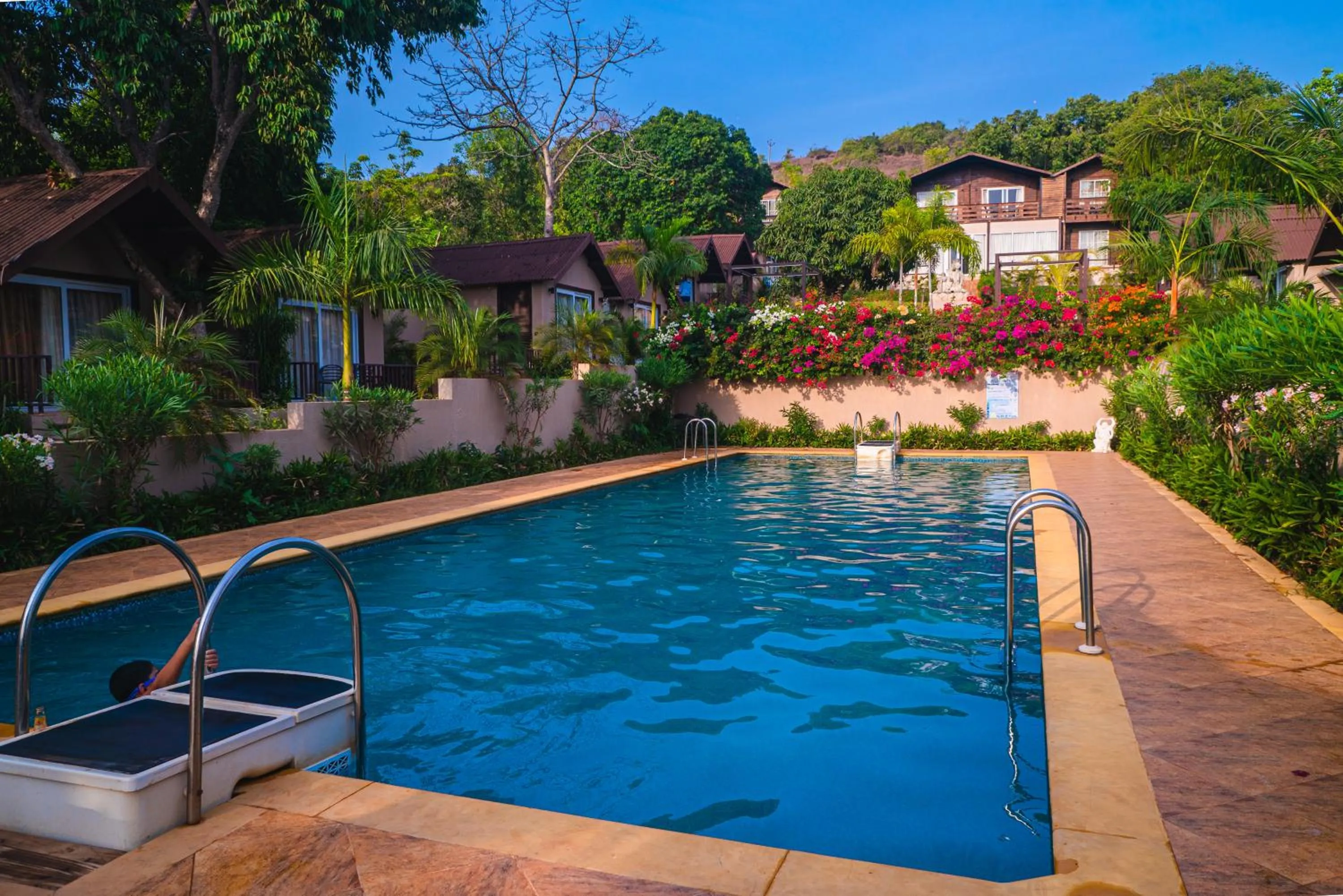 Swimming pool in Stone Wood Resort, Mandrem