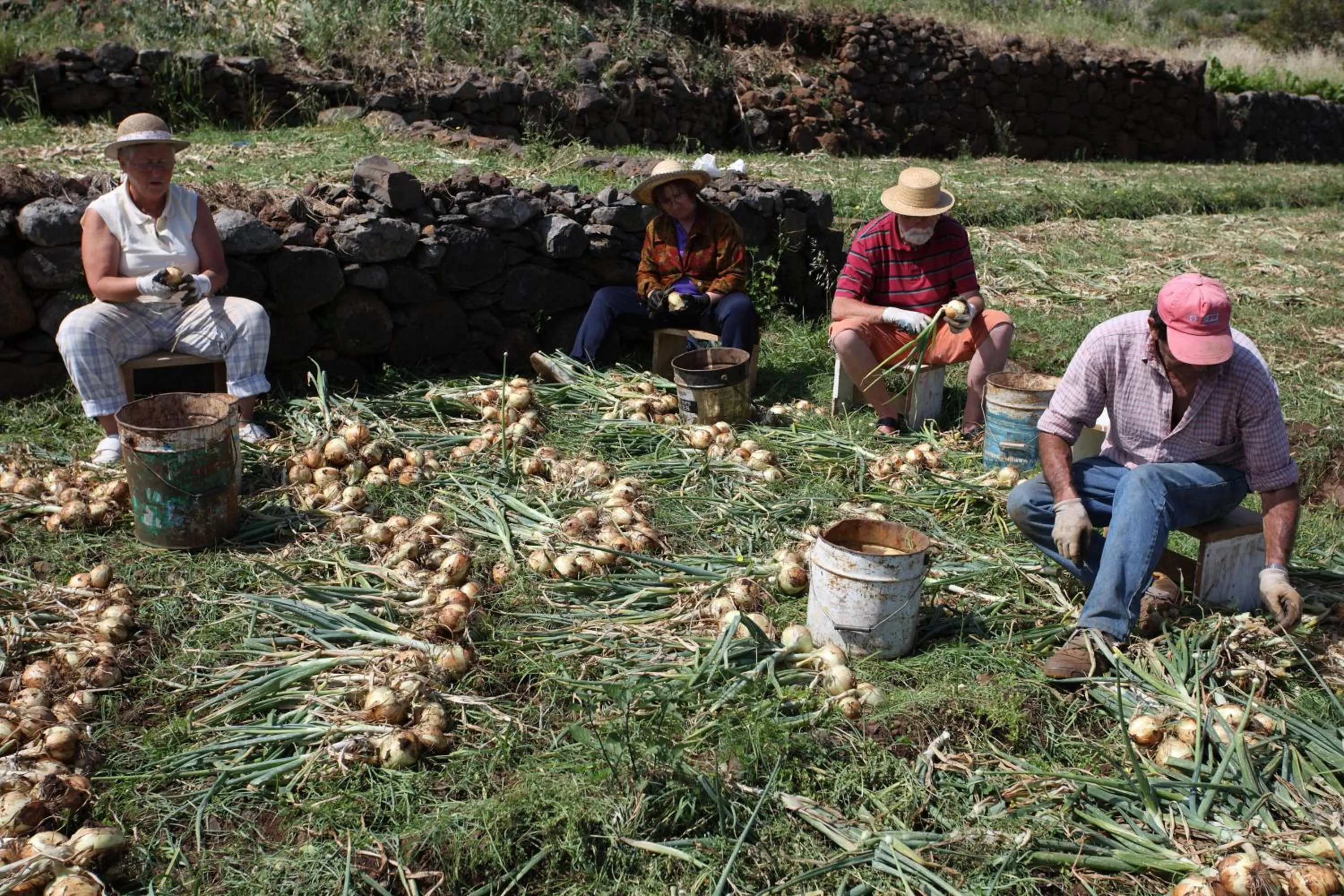 Area and facilities in Canico Bay Apartments