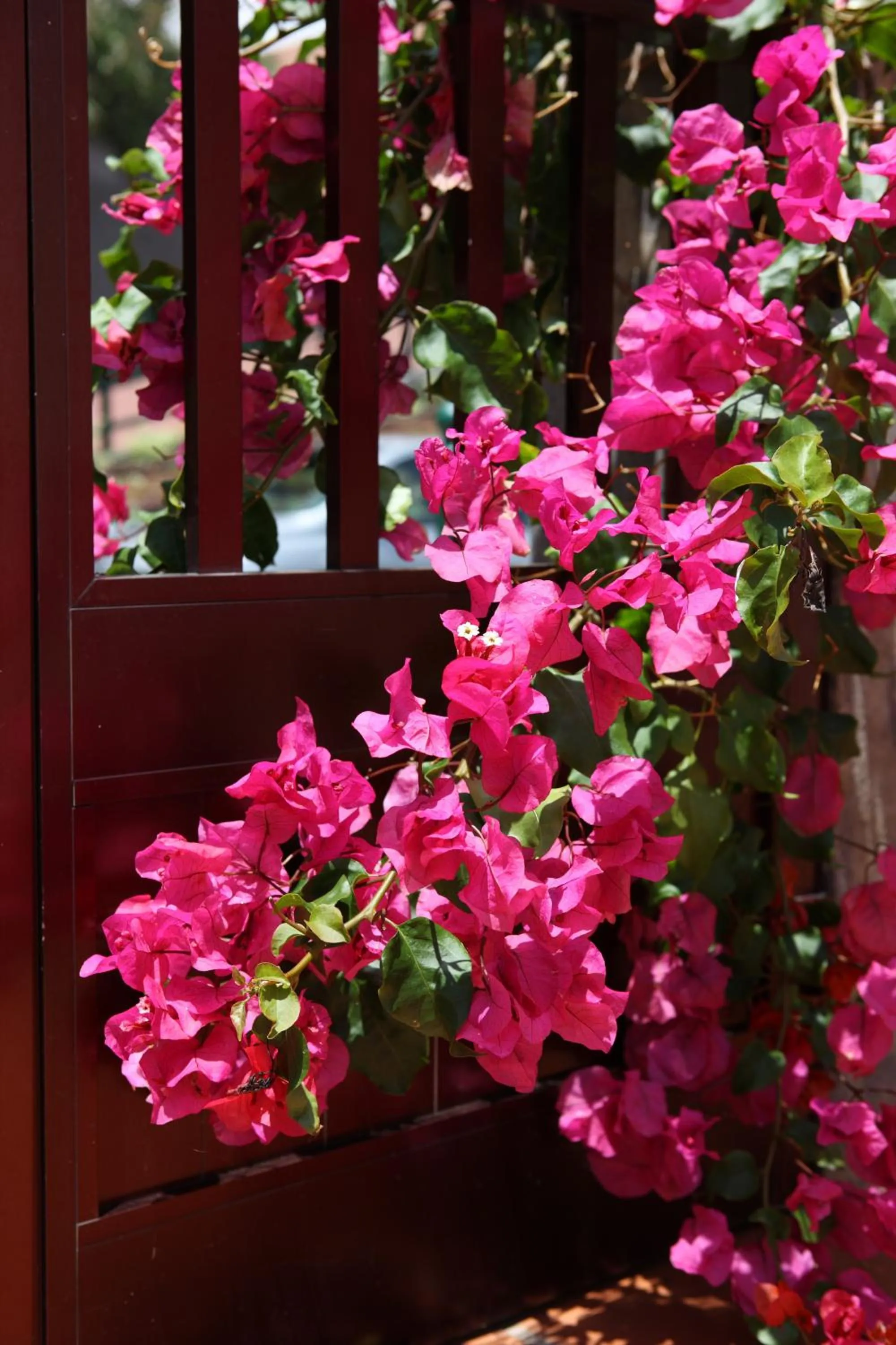 Lobby or reception in Canico Bay Apartments