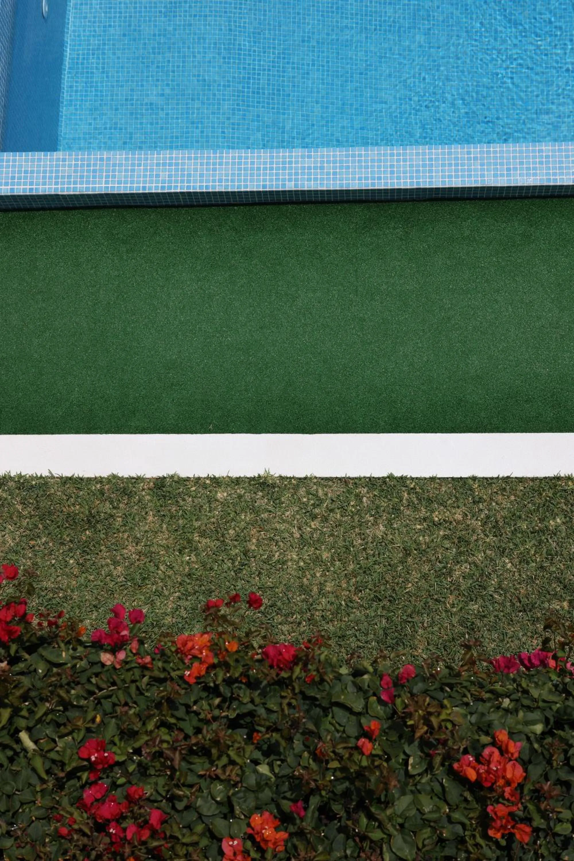 Garden in Canico Bay Apartments