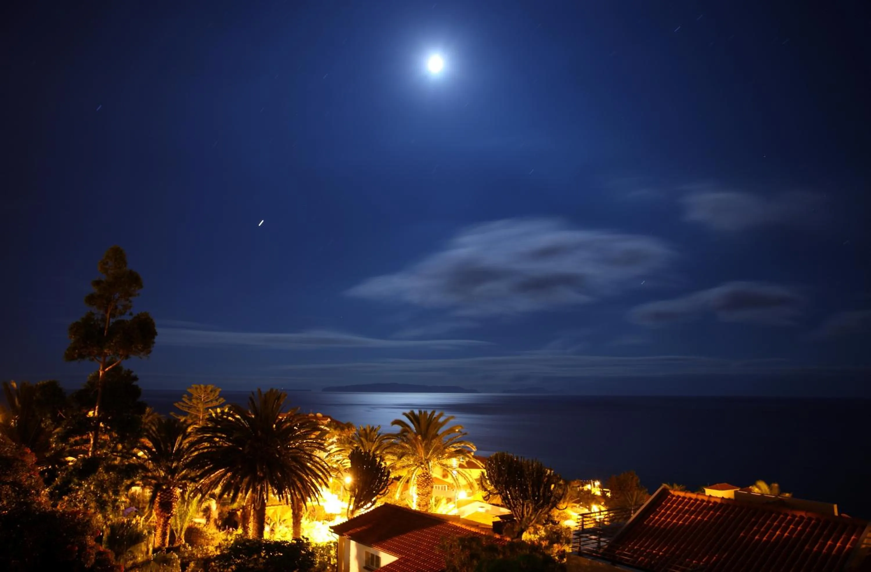 Area and facilities in Canico Bay Apartments