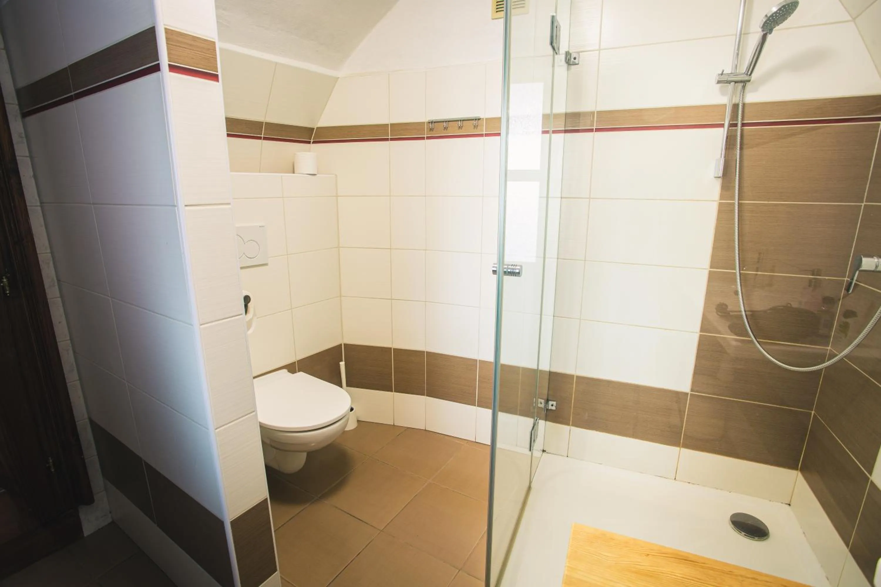 Shower in Downtown Apartments