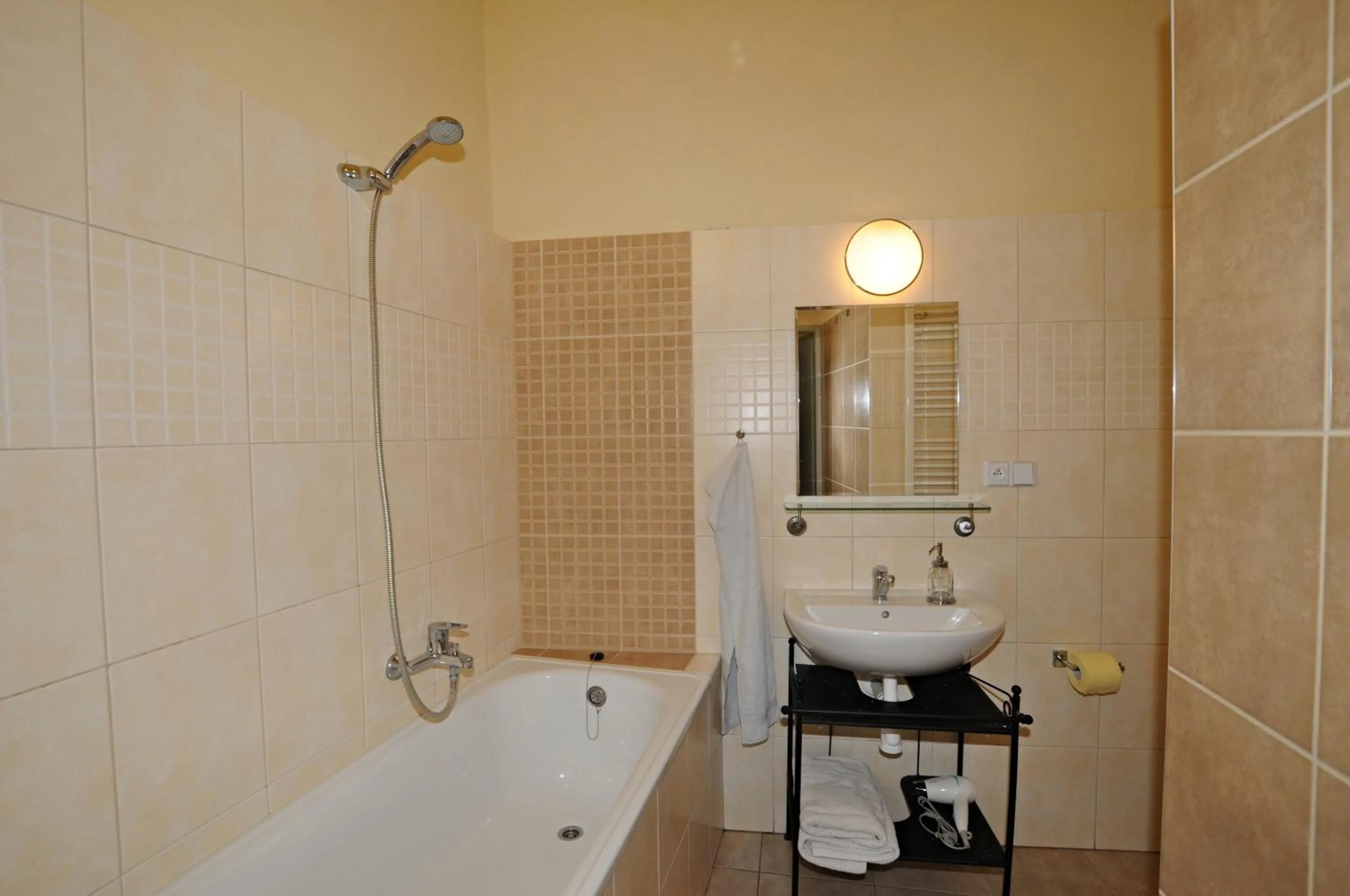 Shower in Downtown Apartments