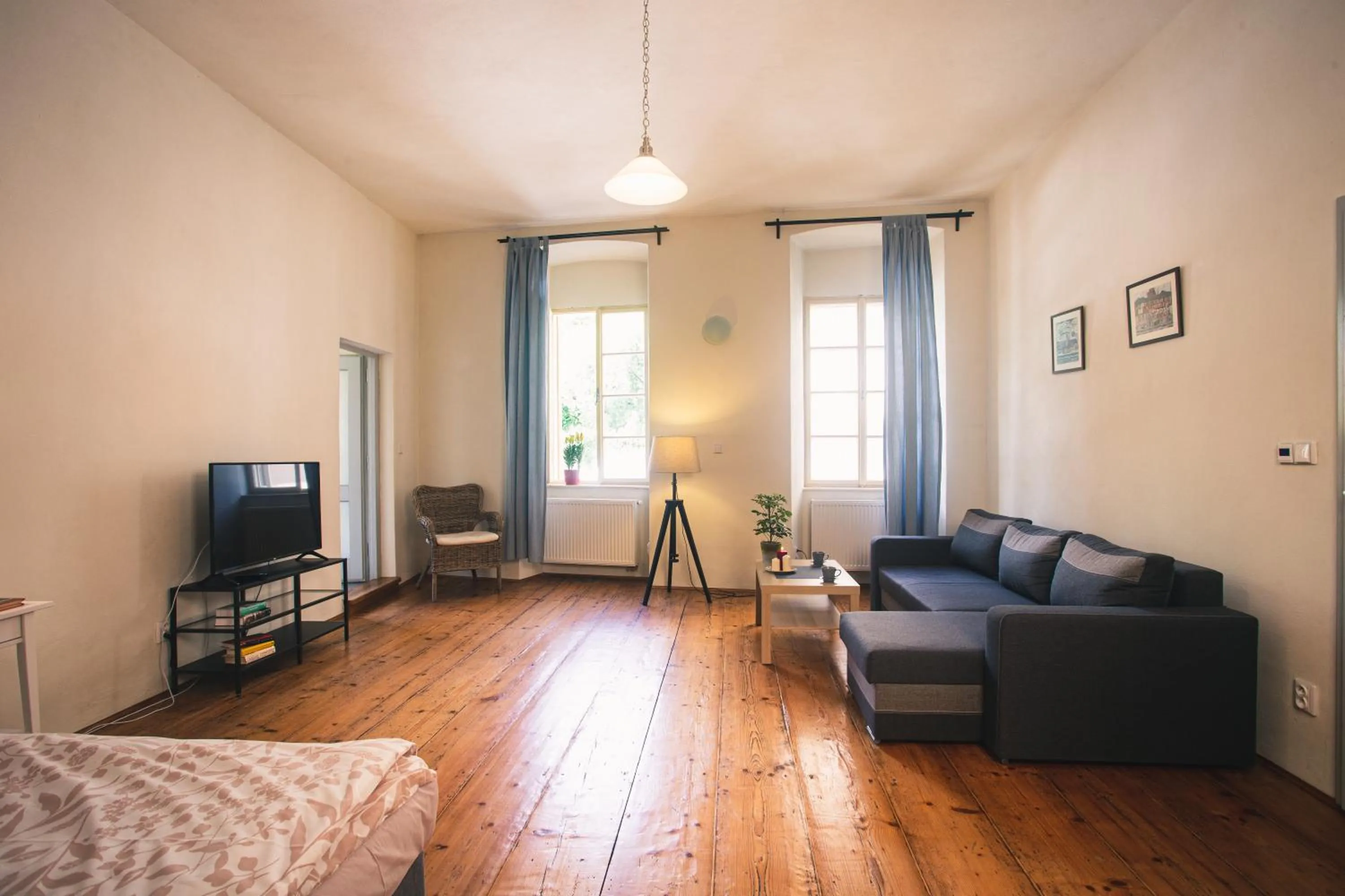 Photo of the whole room in Downtown Apartments