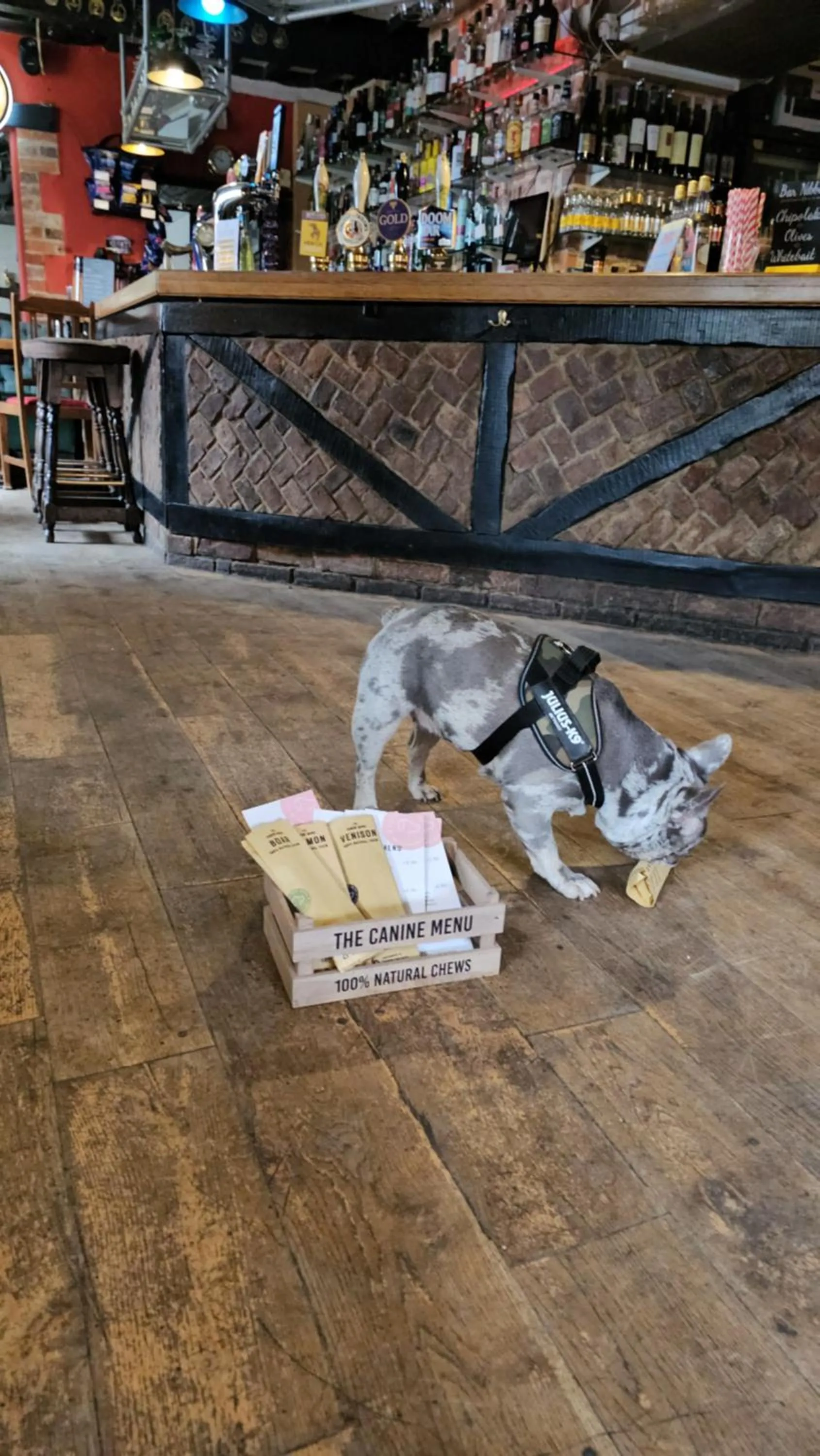 pet friendly in The Crown Aldbourne