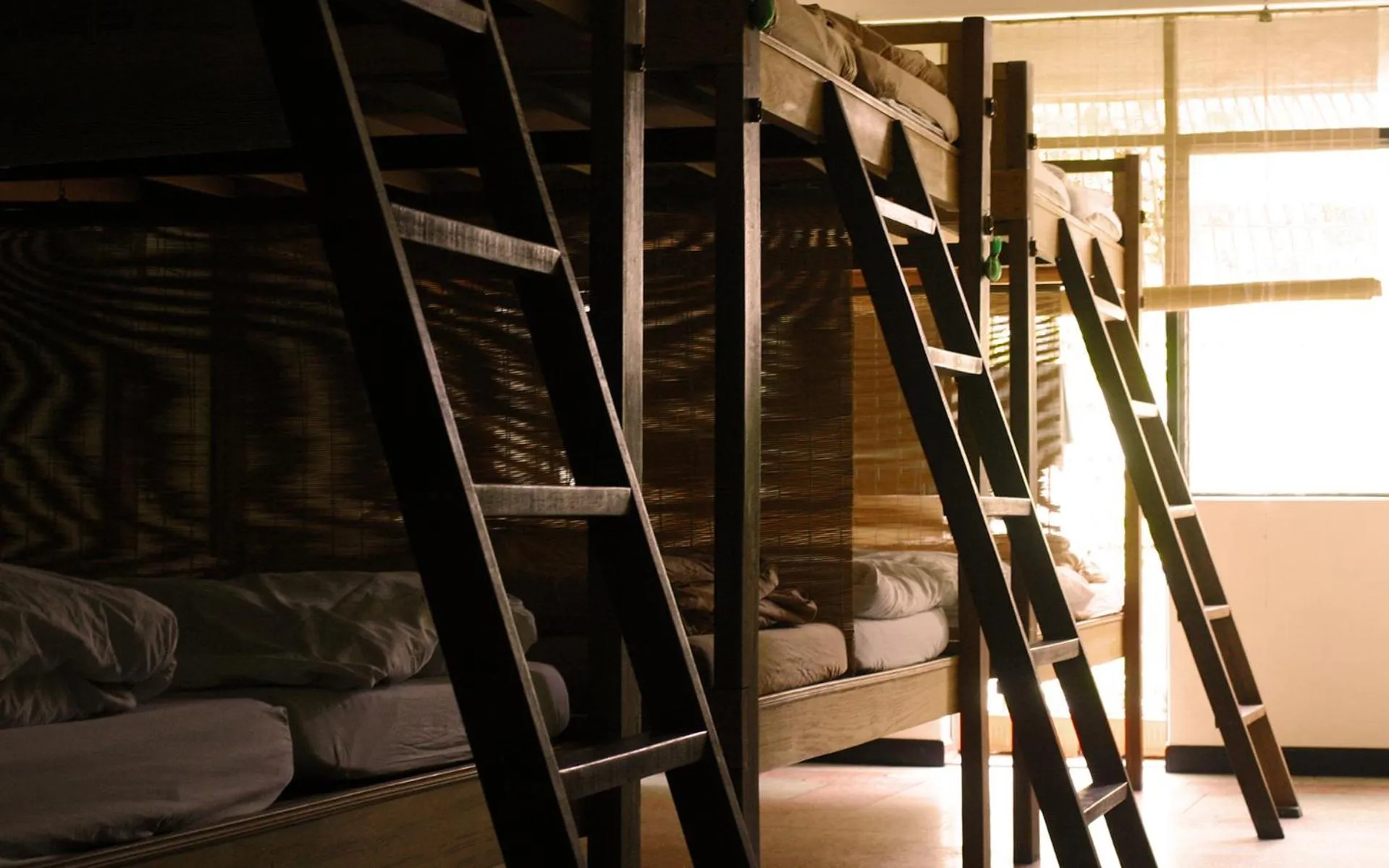 bunk bed, Bed in Born Free Hostel