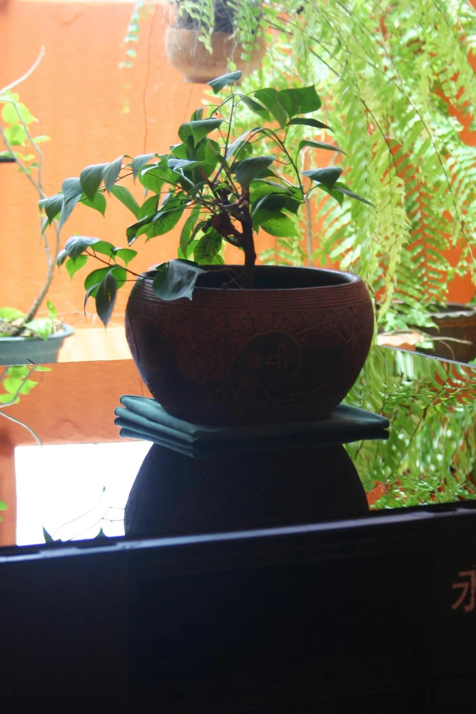 Decorative detail in Born Free Hostel