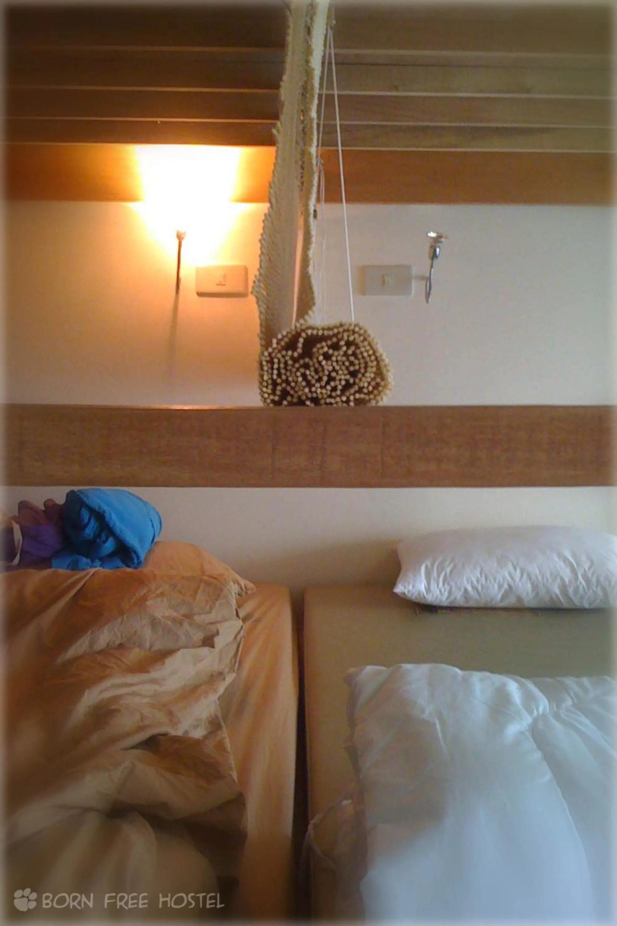 bunk bed, Bed in Born Free Hostel