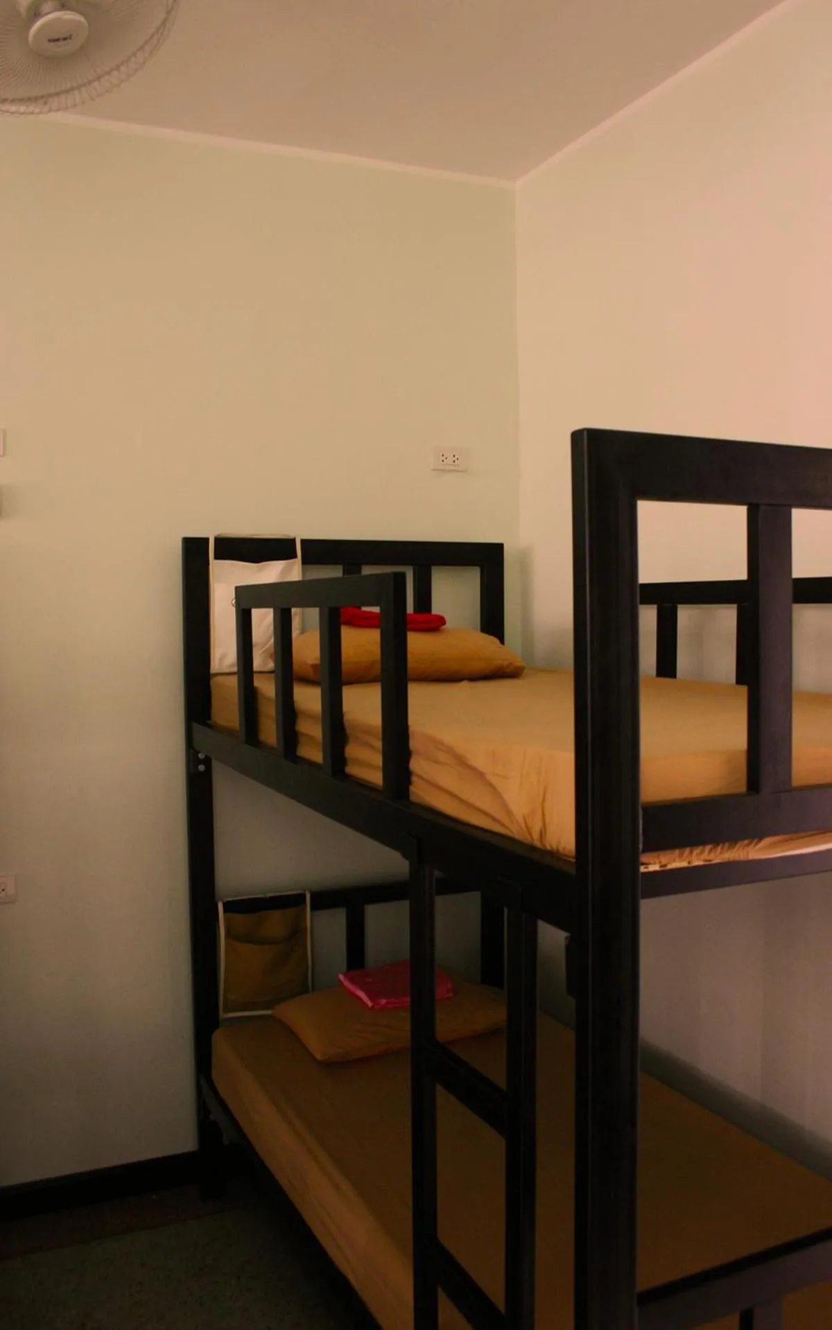 bunk bed, Bed in Born Free Hostel