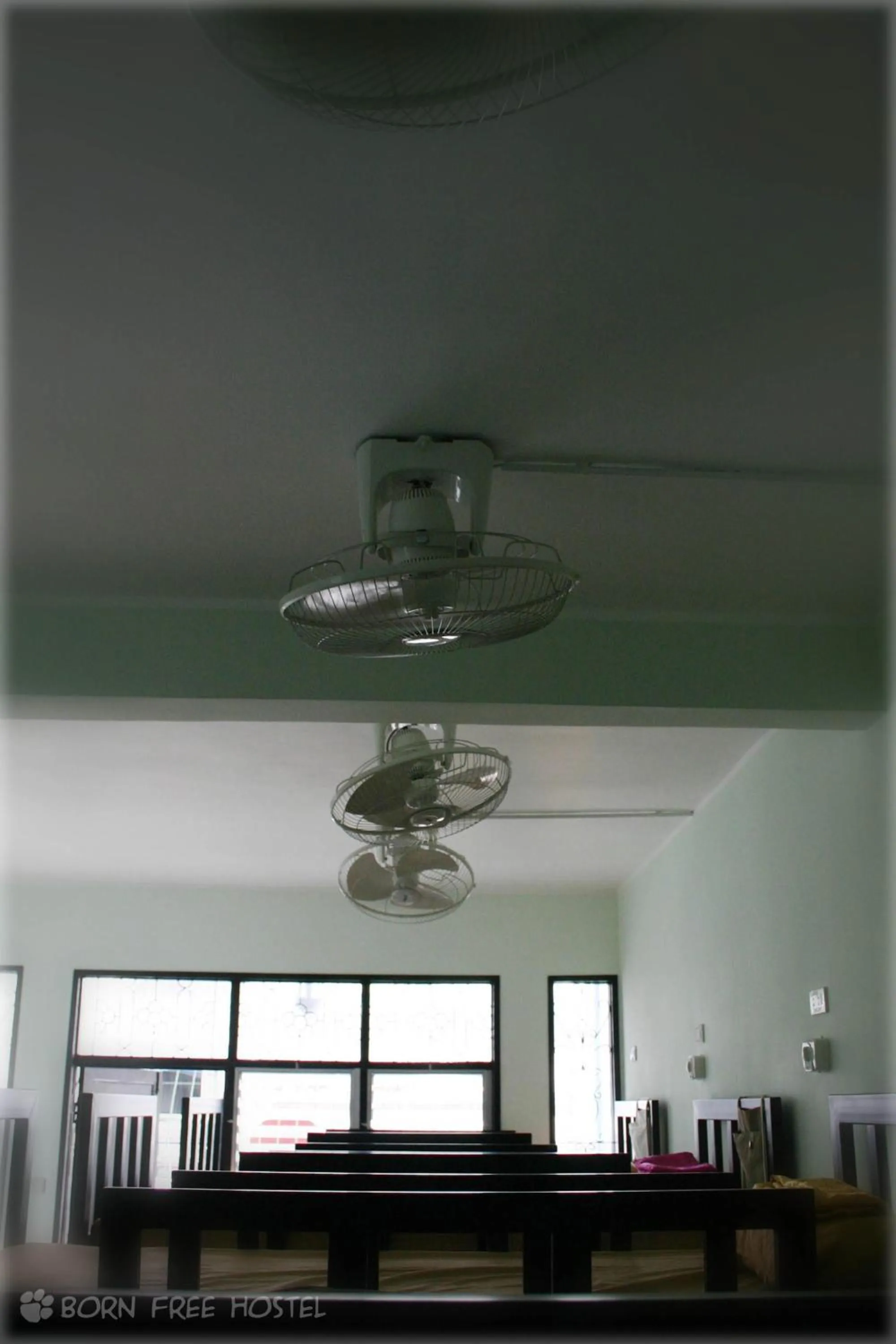 bunk bed in Born Free Hostel