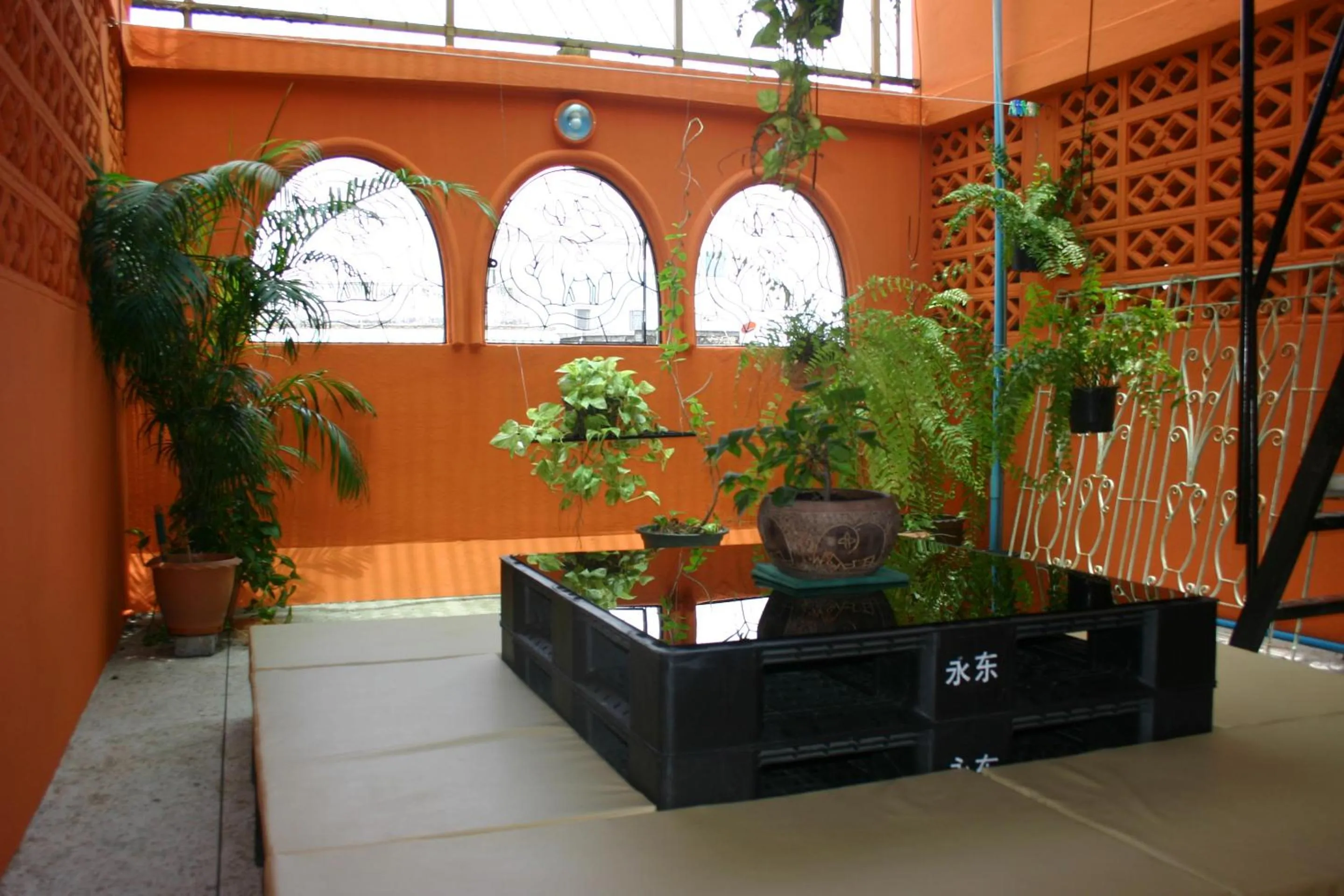 Balcony/Terrace in Born Free Hostel