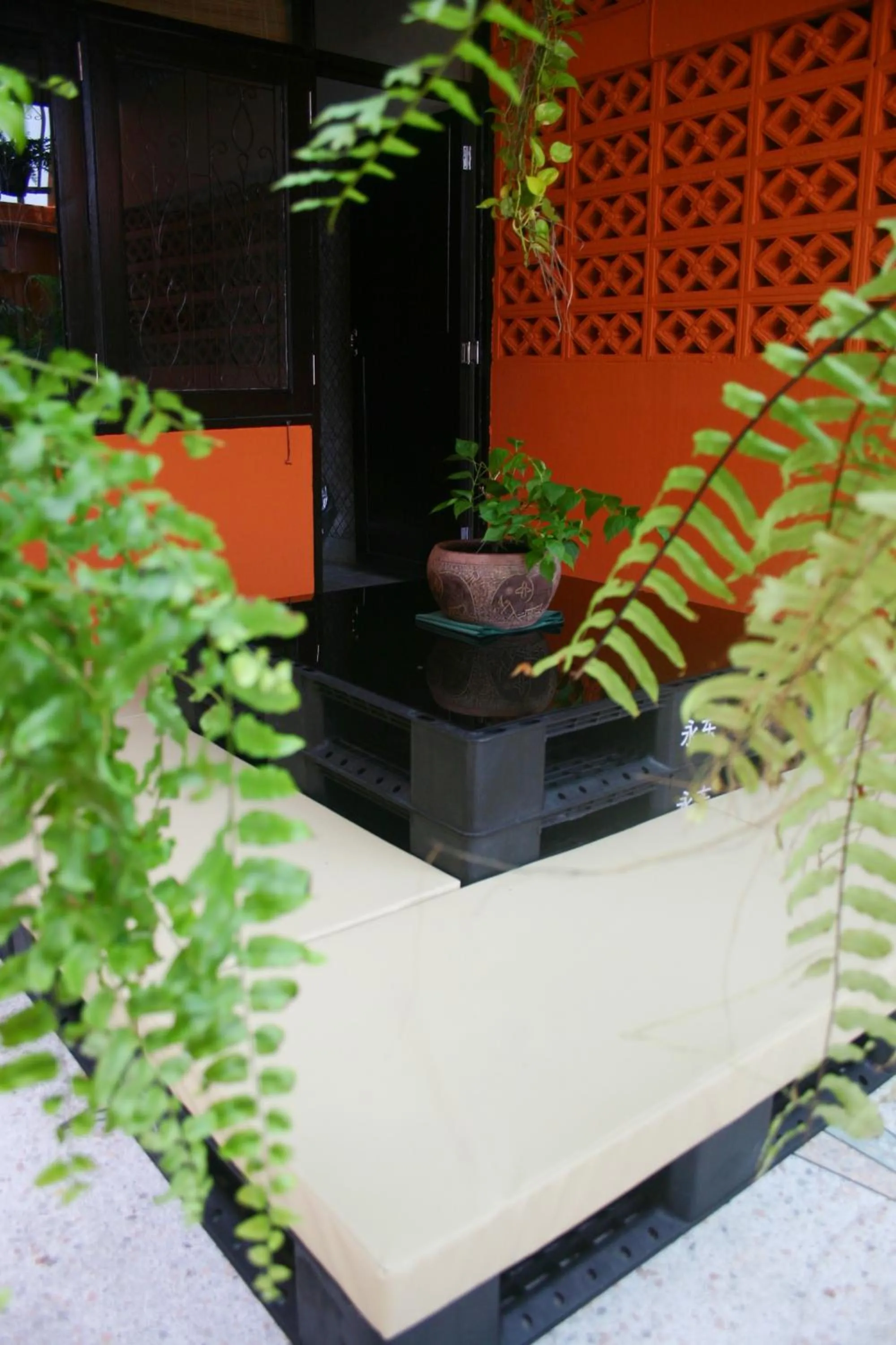 Seating area in Born Free Hostel