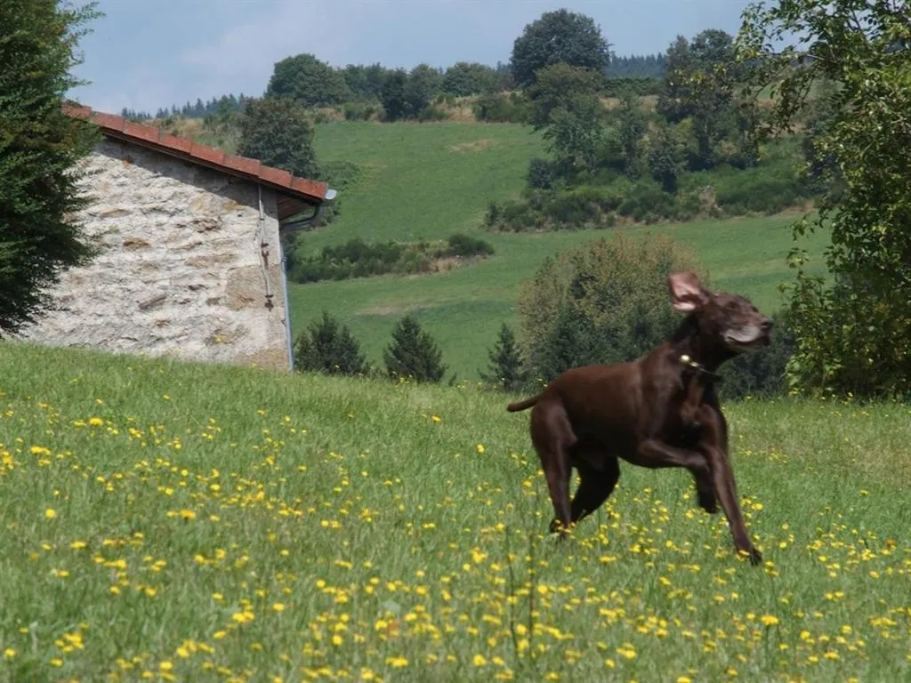 Property building in Château des Marcilly Talaru
