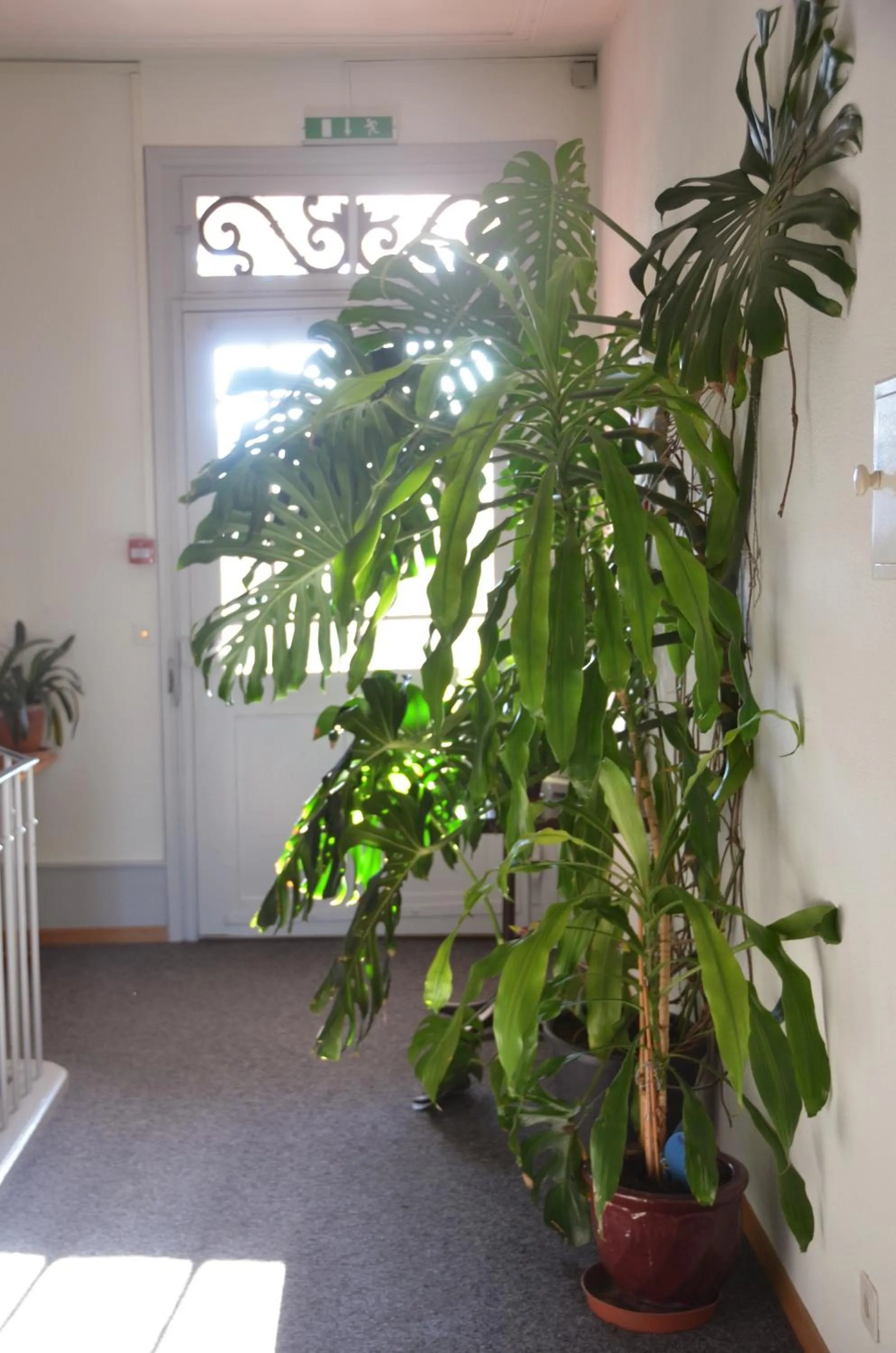 On site in Hotel Restaurant Bahnhof