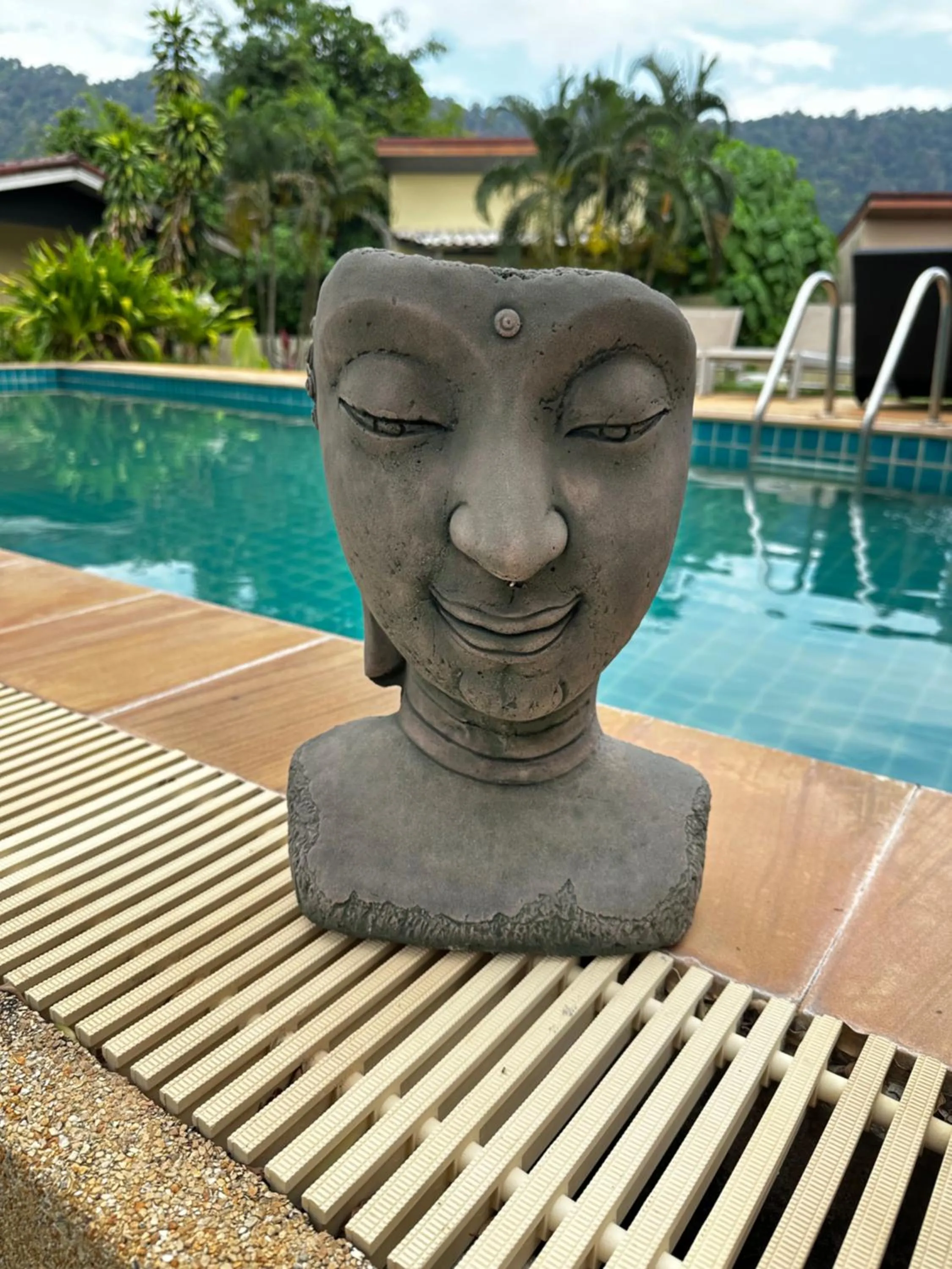 Swimming pool in Escape-Cabins