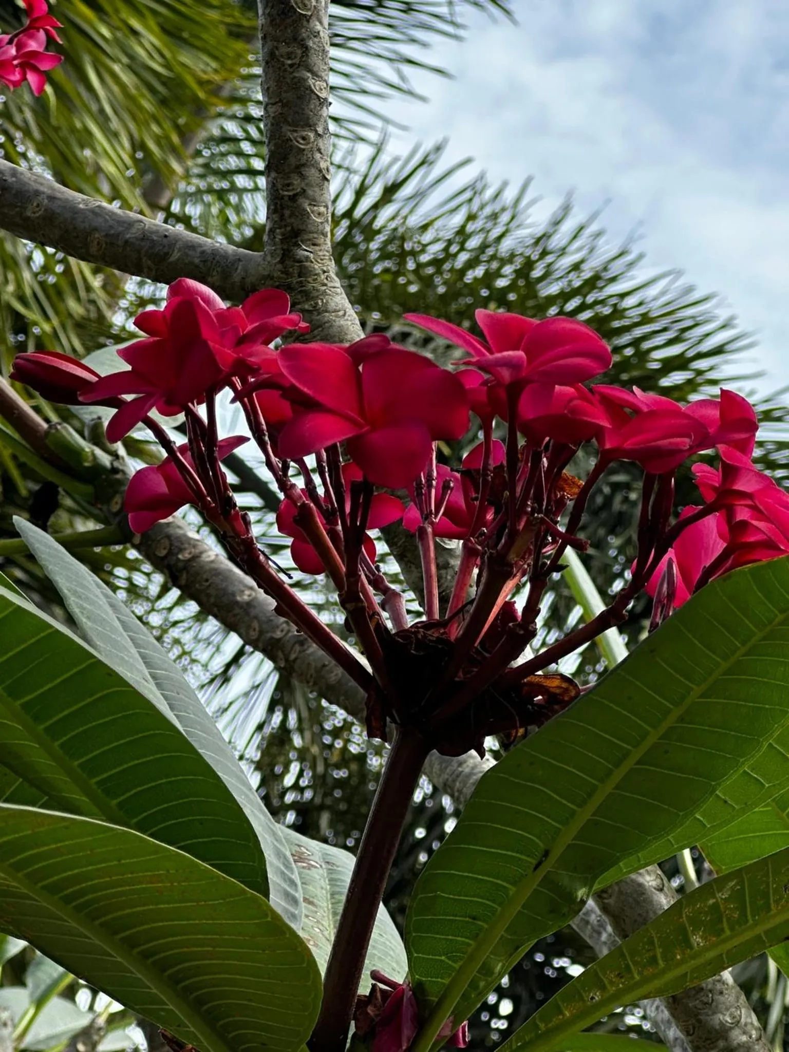 Natural landscape in Escape-Cabins