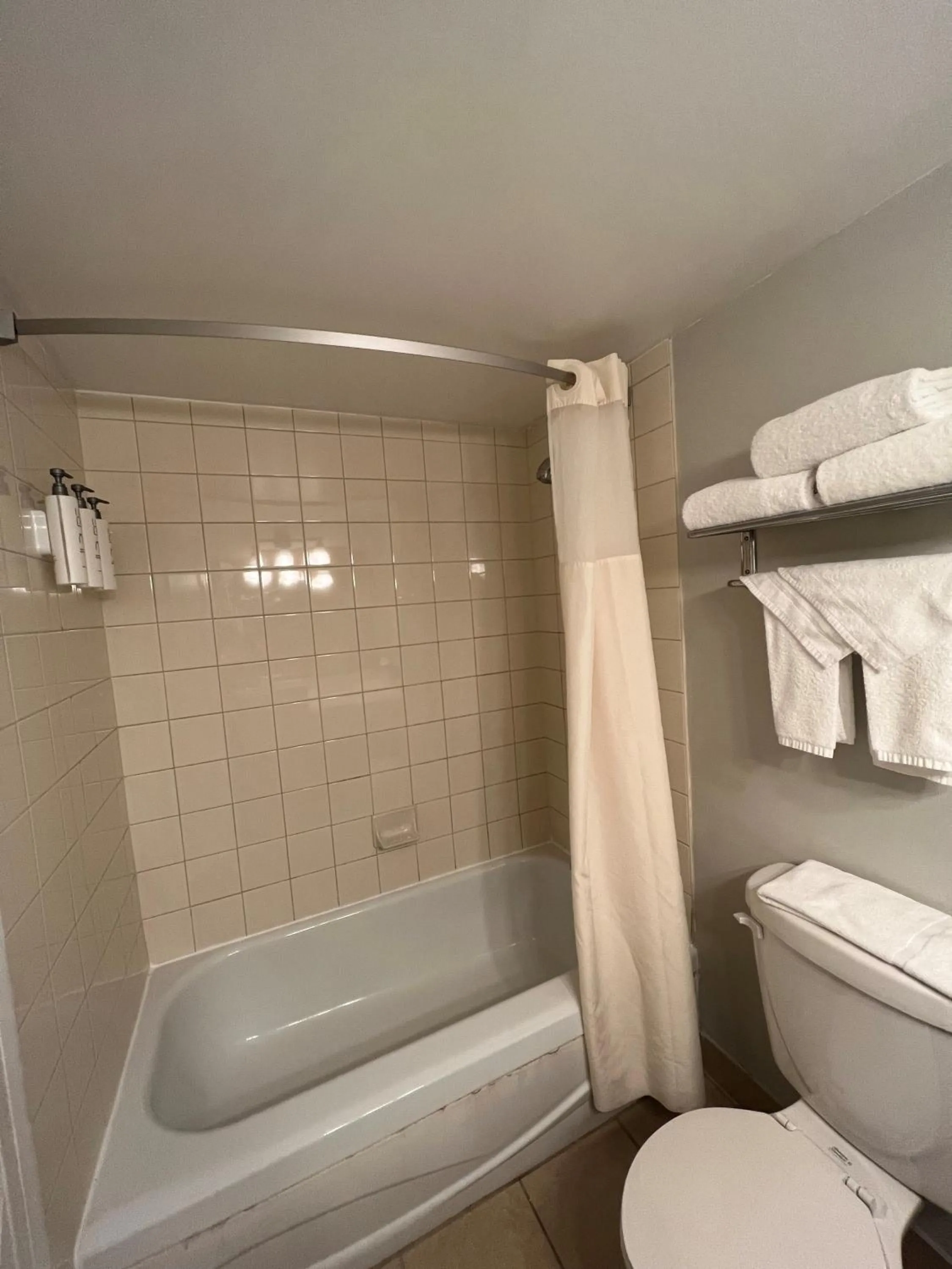 Toilet in Hidden Valley Resort, an Ascend Collection Resort