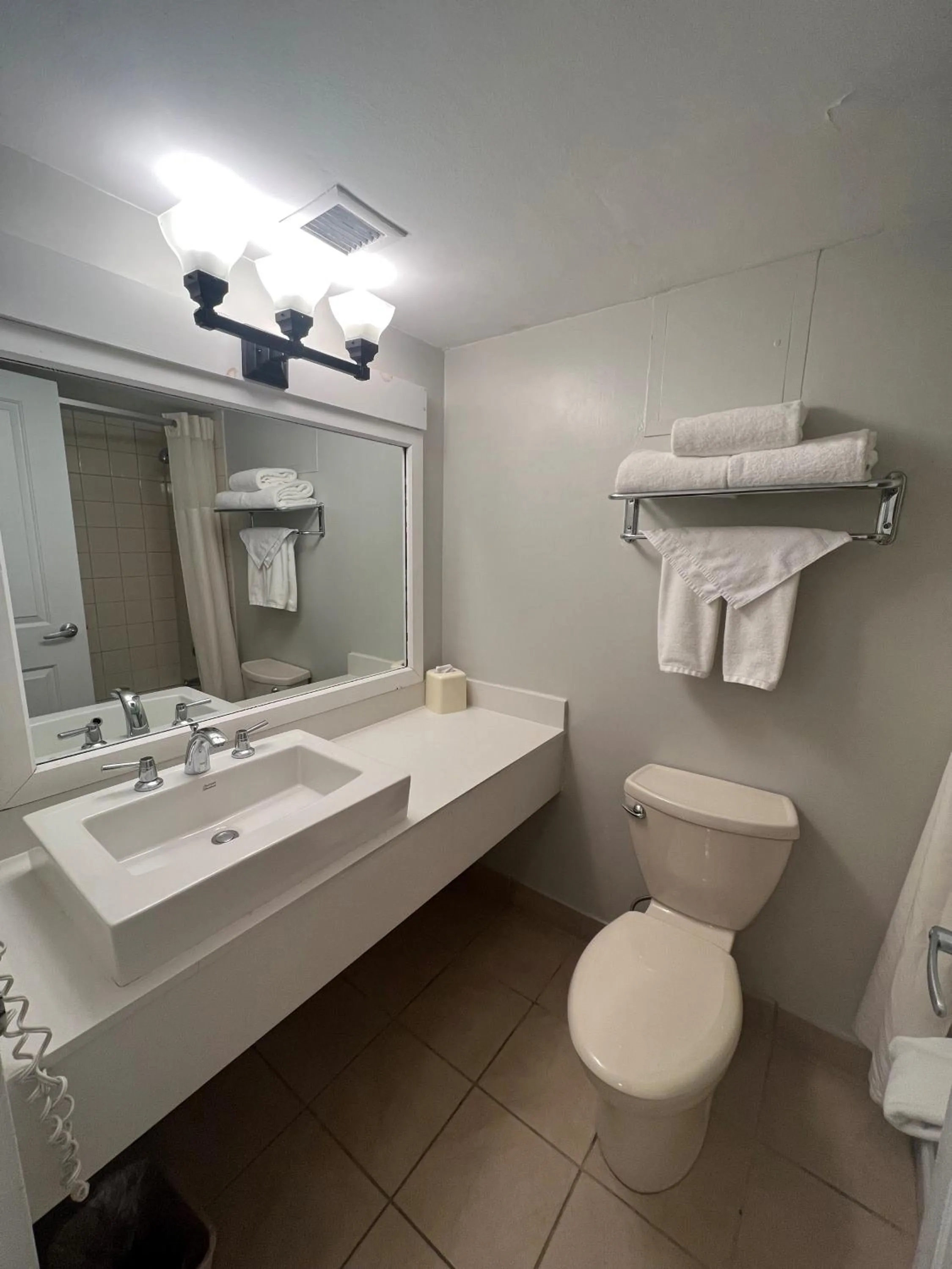 Toilet in Hidden Valley Resort, an Ascend Collection Resort