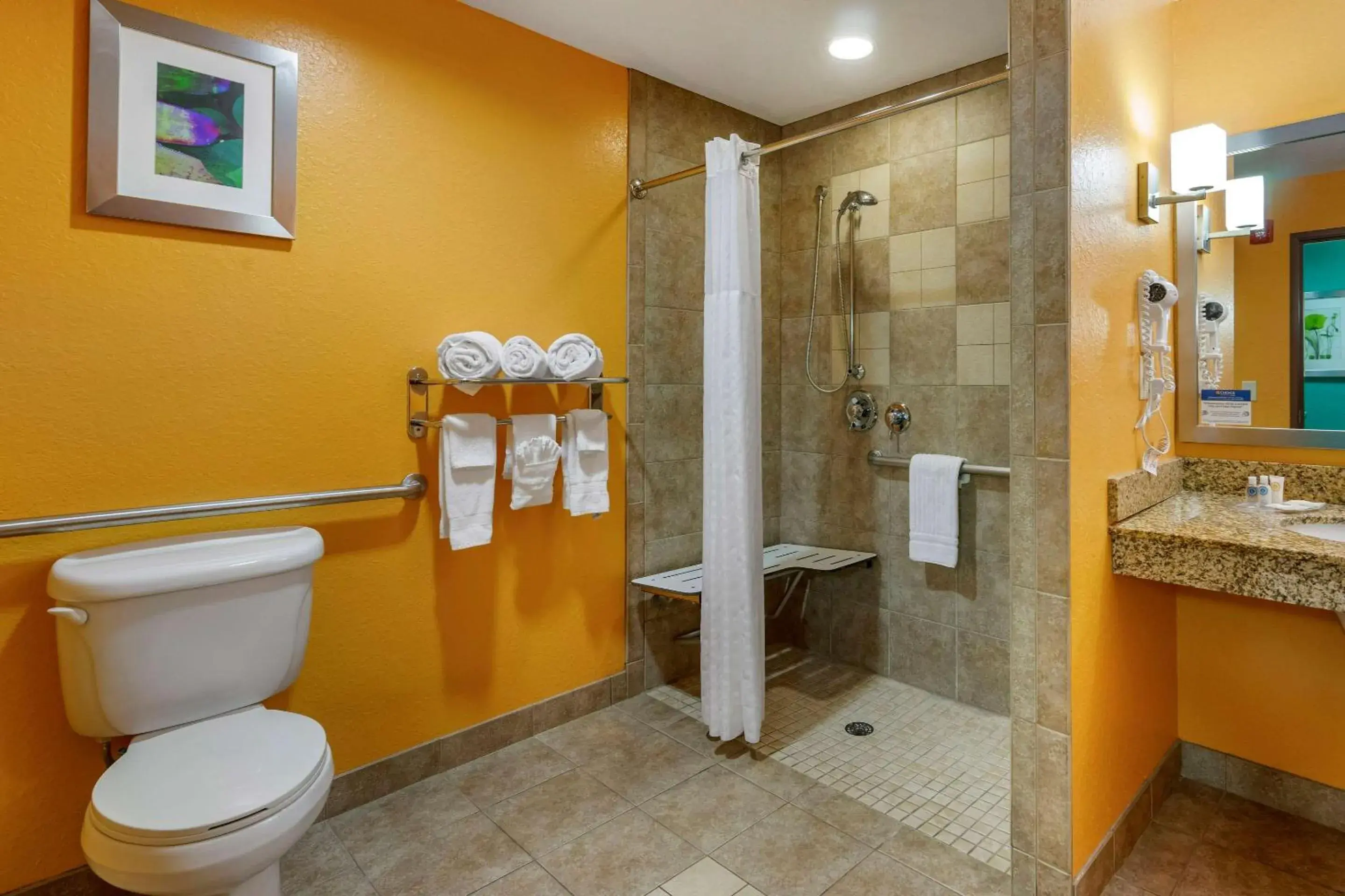 King Suite - Accessible/Non-Smoking in Hampton Inn by Hilton Tampa Fairgrounds Casino King Suite - Accessible/Non-Smoking in Hampton Inn by Hilton Tampa Fairgrounds Casino