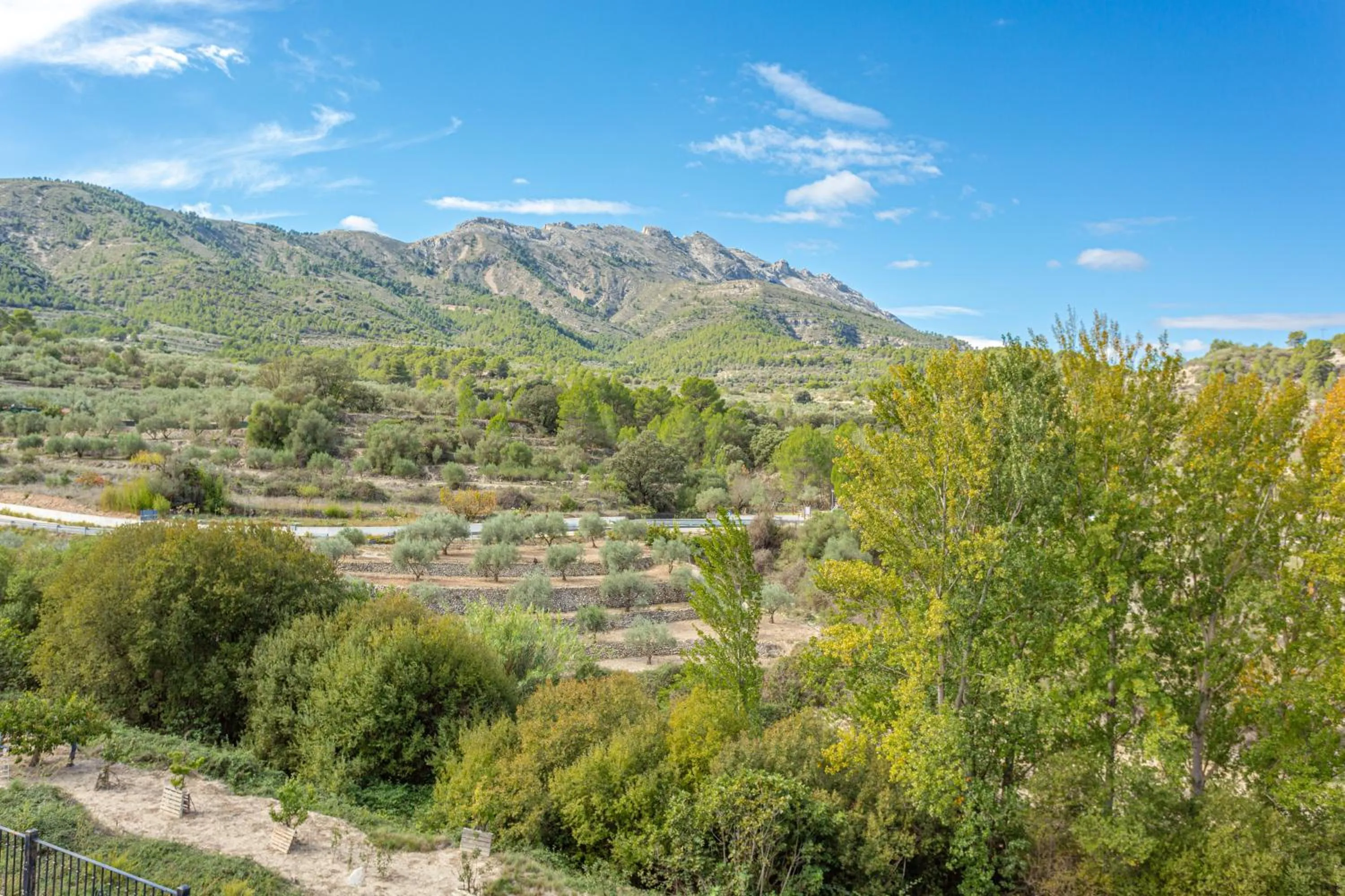 View (from property/room) in Hotel Rural Serrella