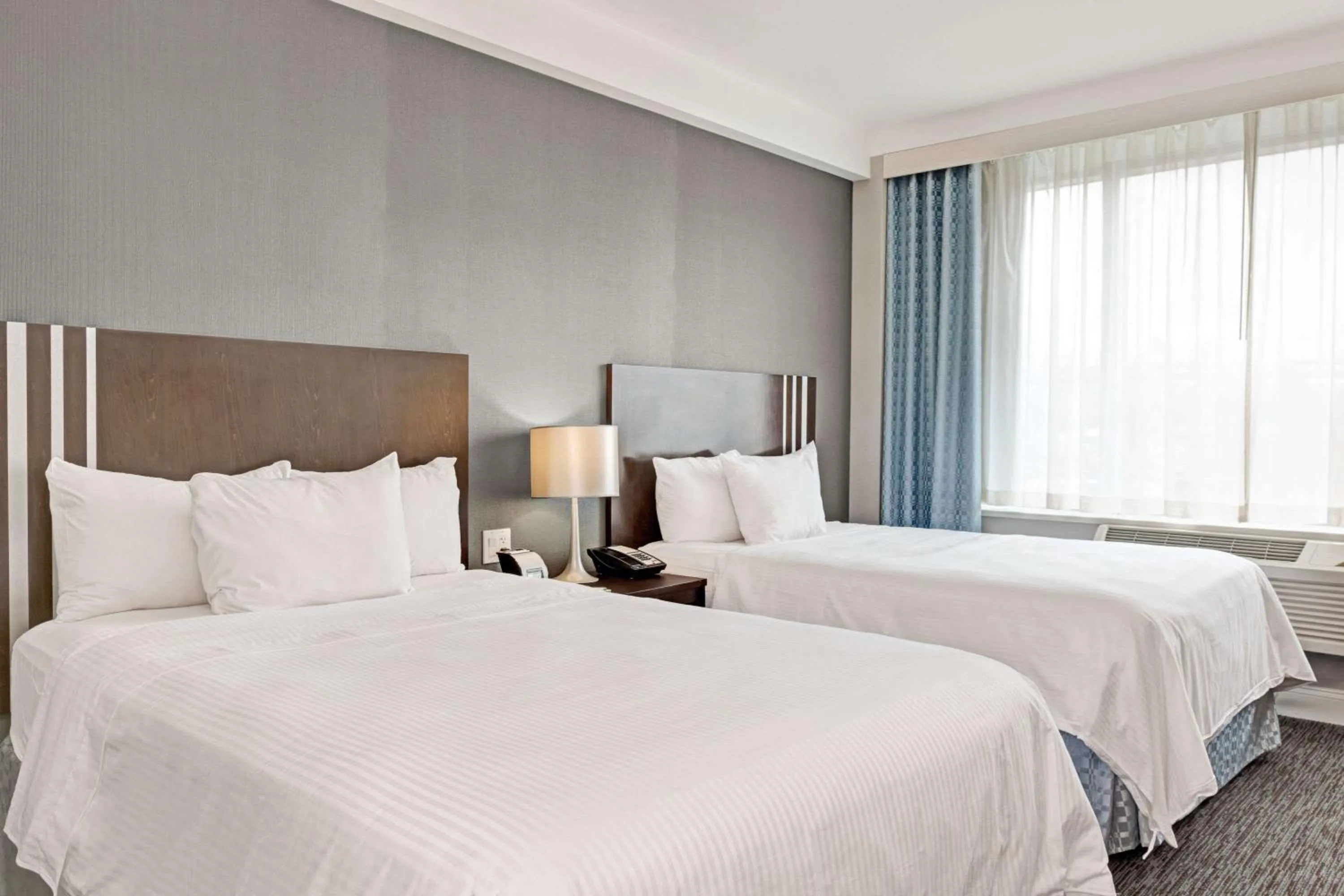 Photo of the whole room in Wyndham Garden Long Island City