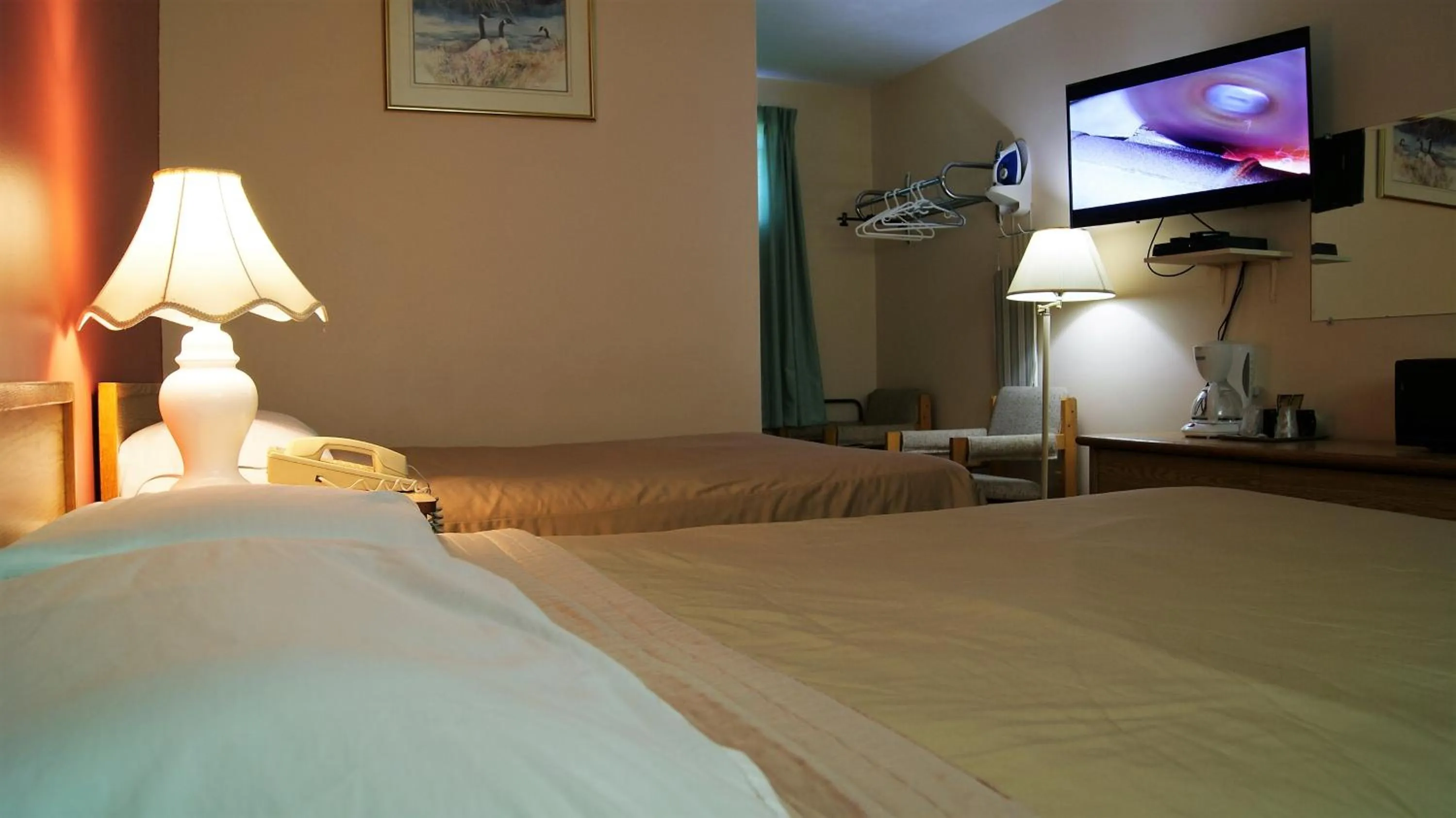 Bed in Blue Jay Motel