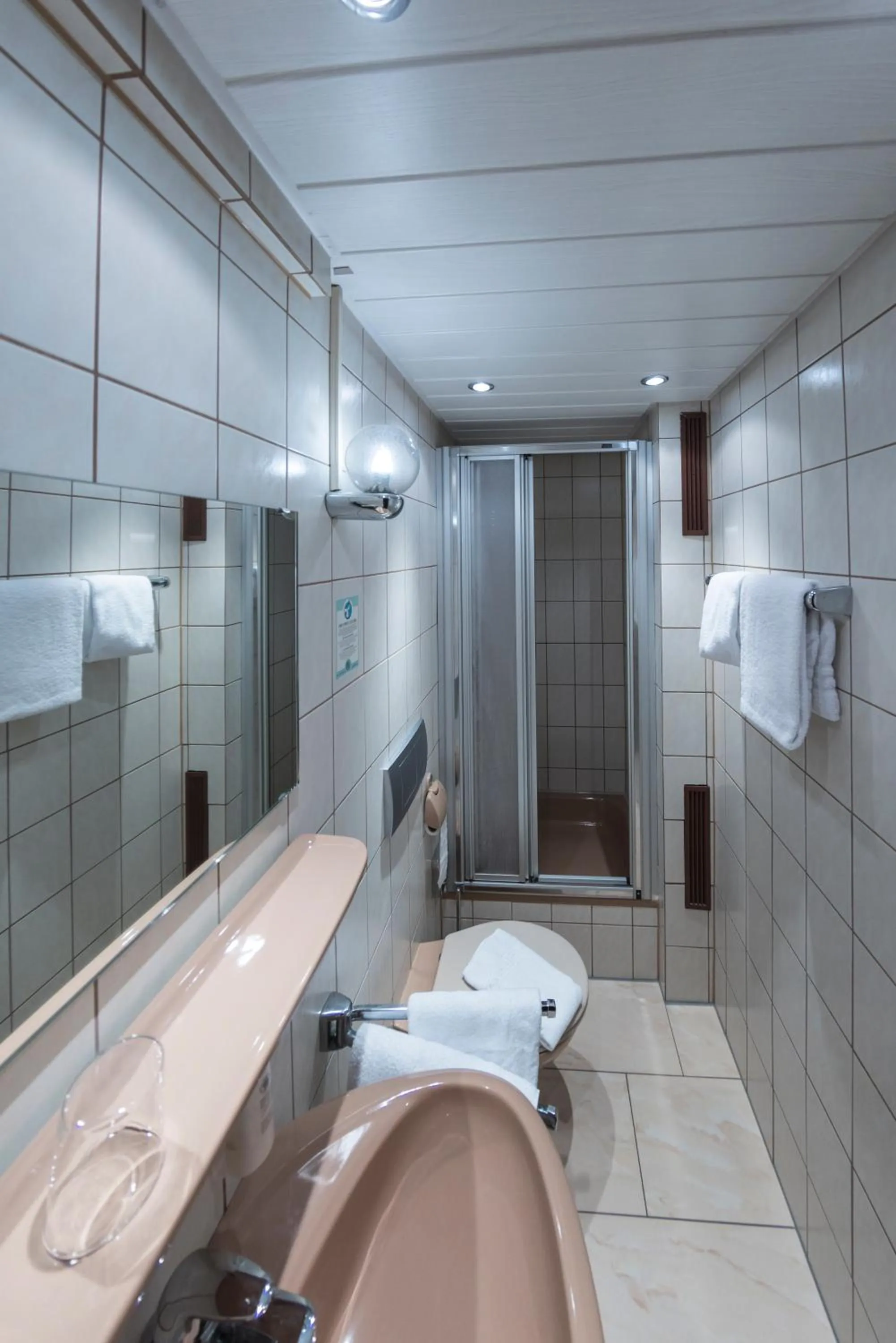 Bathroom in Widmann's Löwen