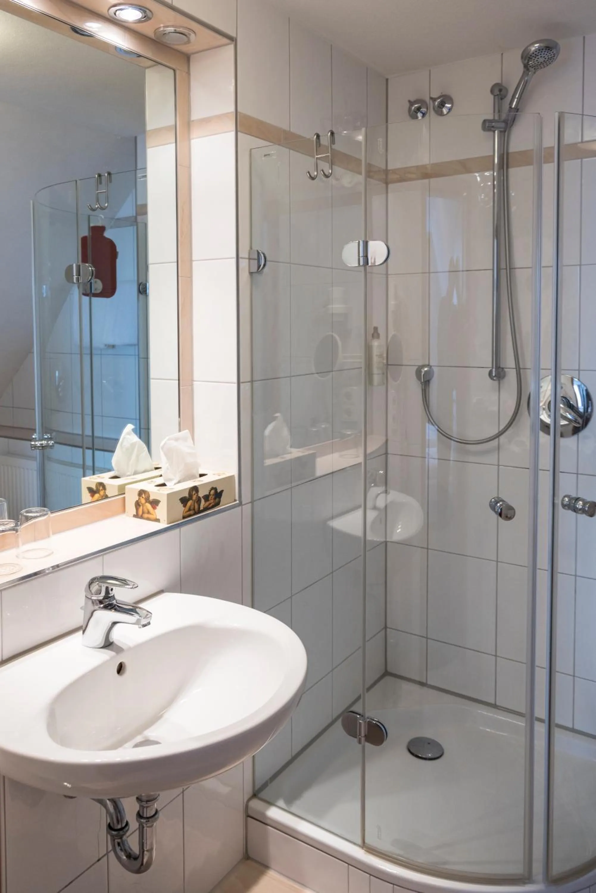 Bathroom in Widmann's Löwen