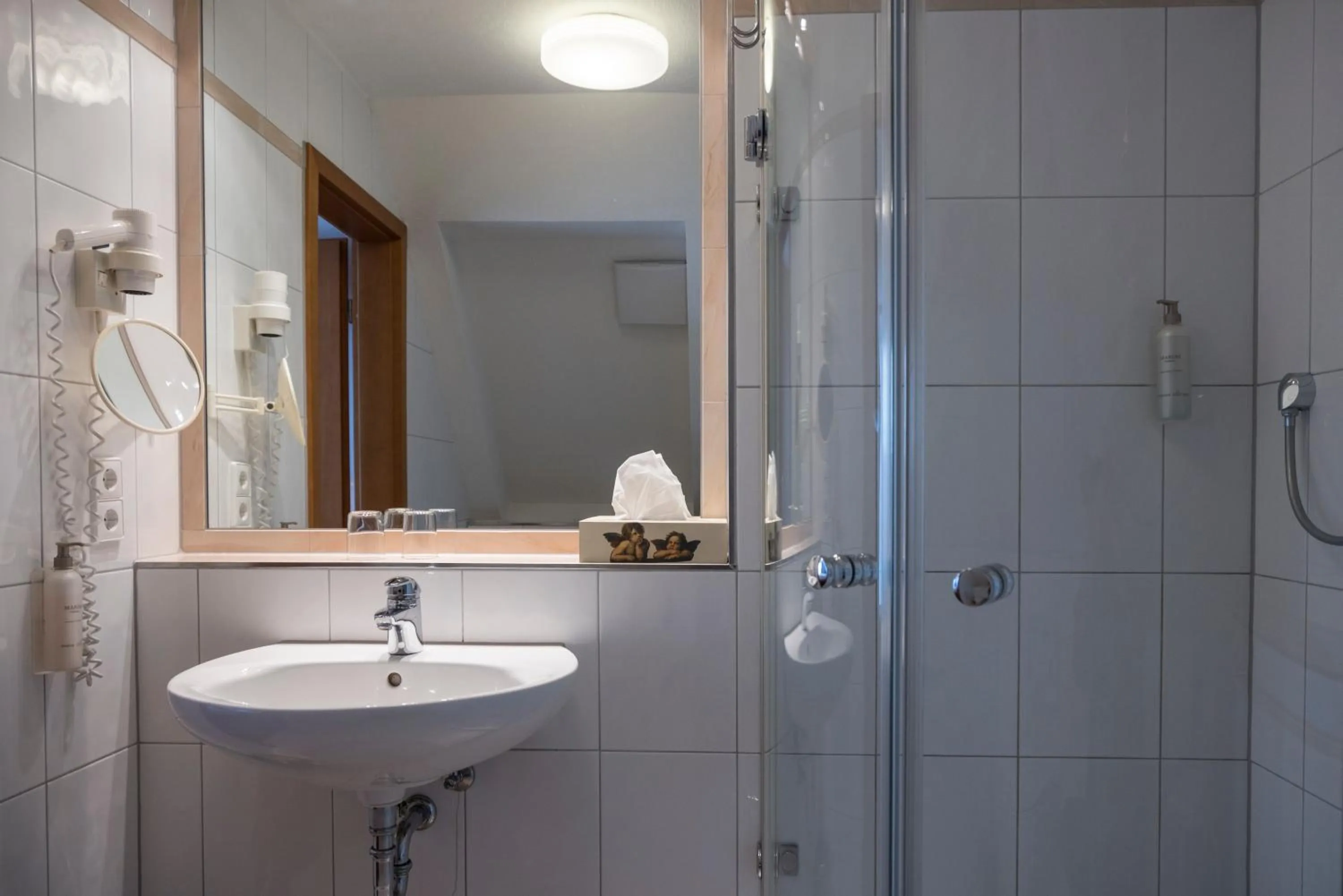 Bathroom in Widmann's Löwen