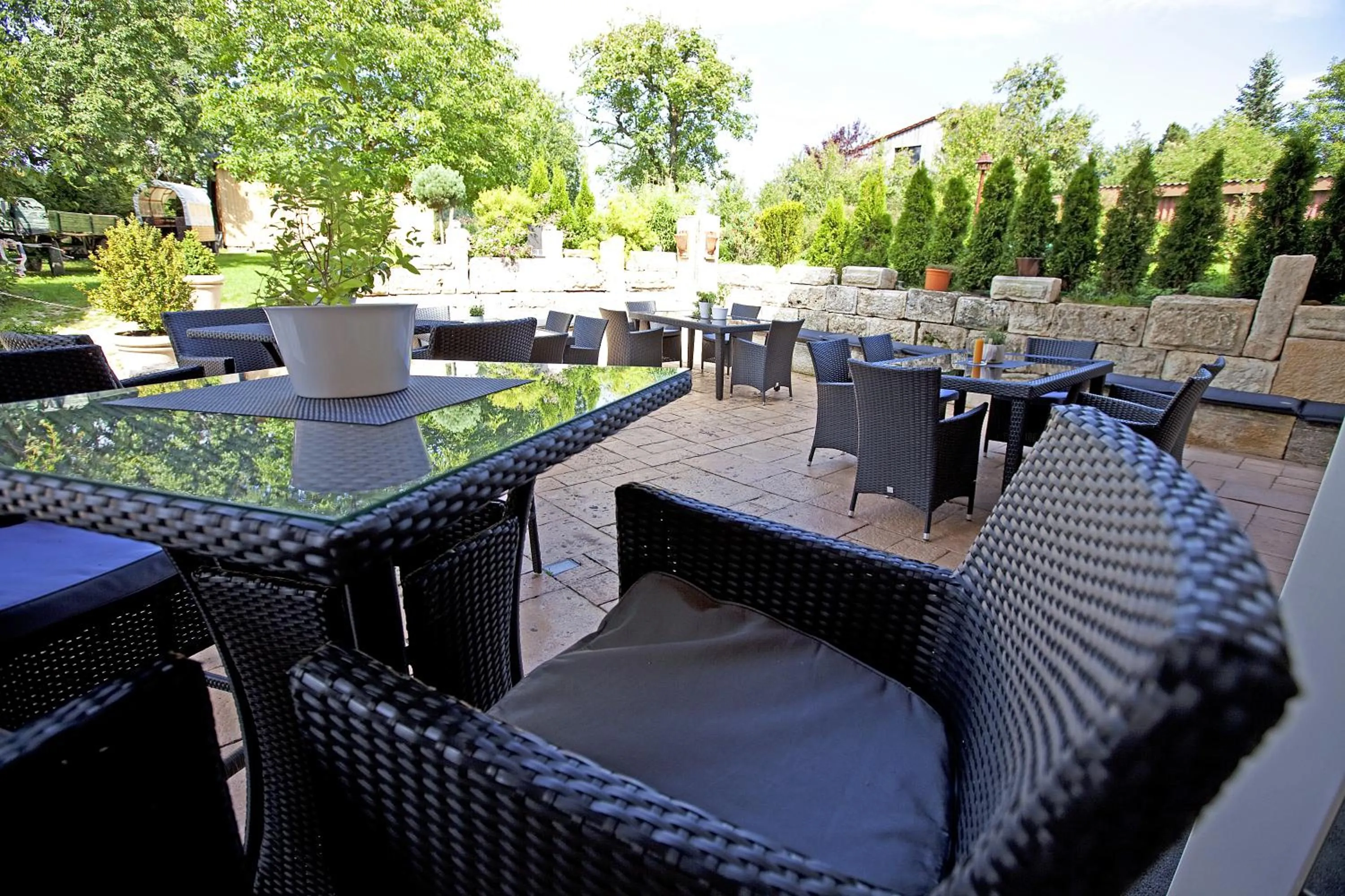 Day in Widmann's Löwen