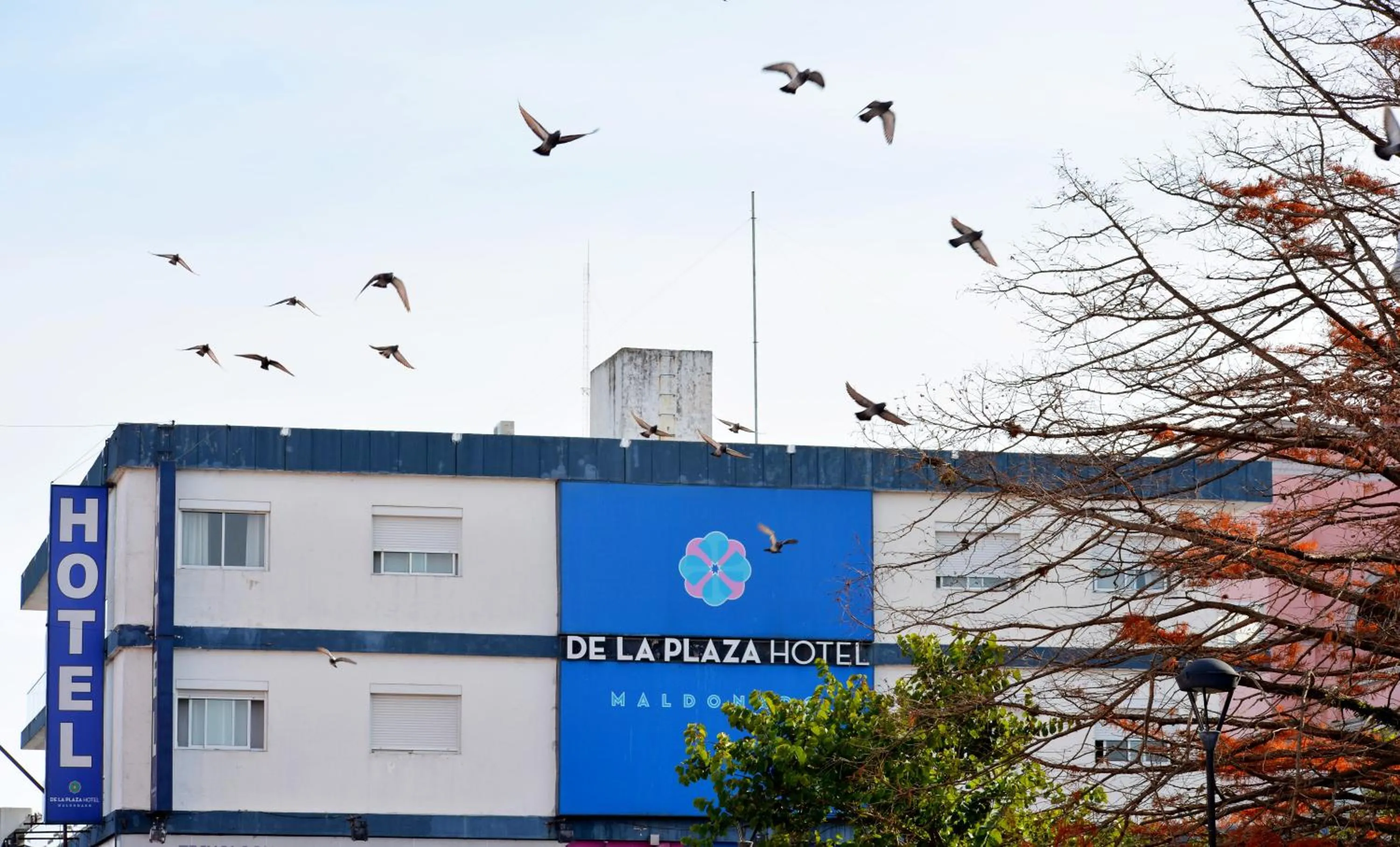 De la Plaza Hotel
