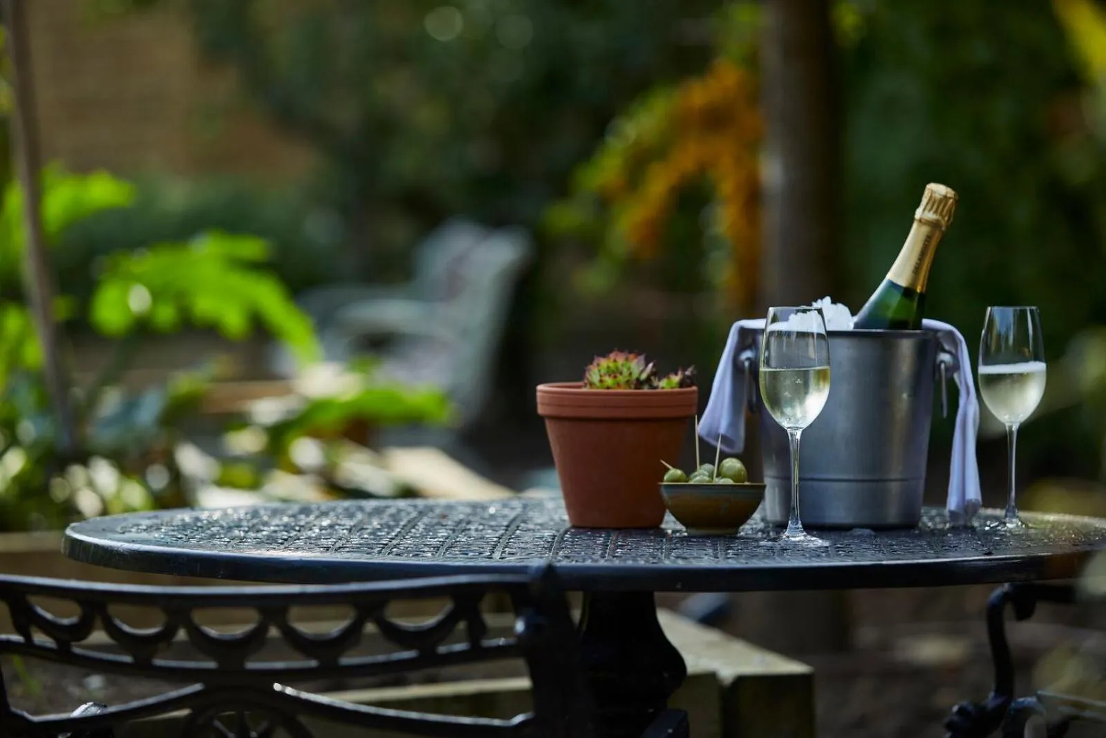 Garden in Dormy House Hotel