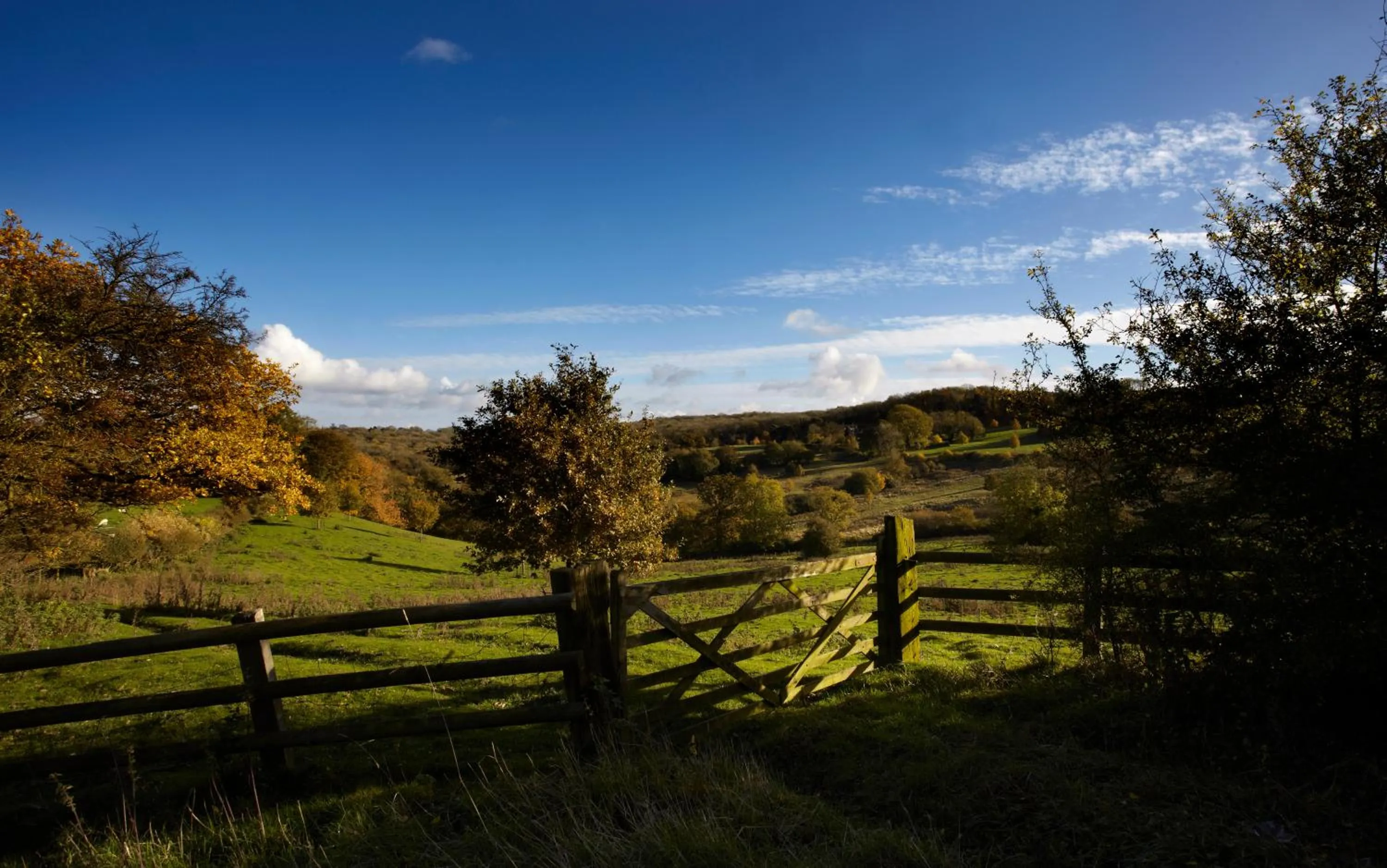 Area and facilities in Dormy House Hotel
