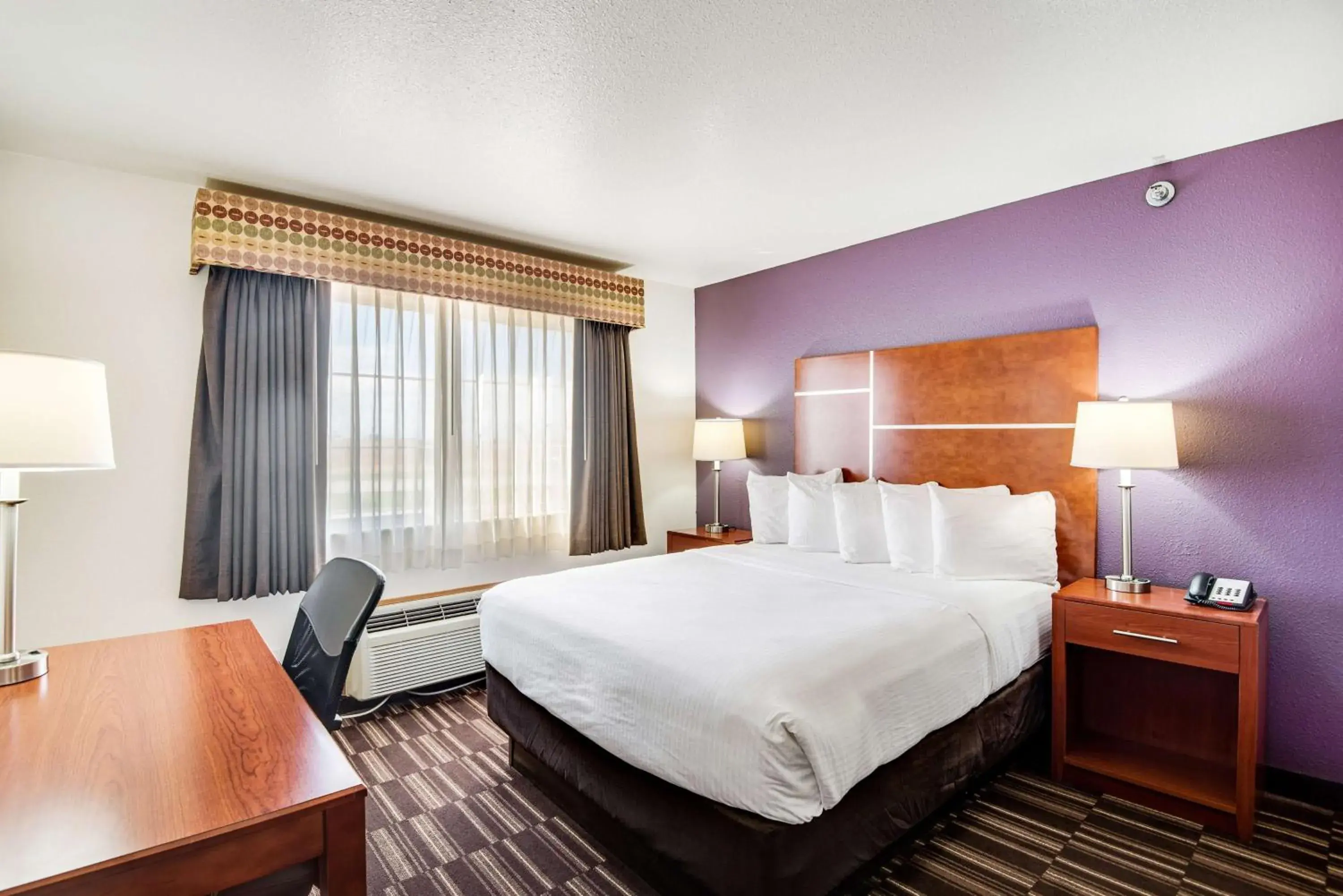 Queen Room - Disability Access/Non-Smoking in Best Western Firestone Inn & Suites Queen Room - Disability Access/Non-Smoking in Best Western Firestone Inn & Suites