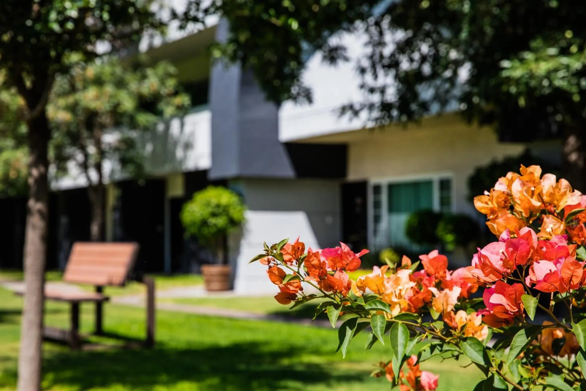 Property building in Fiesta Inn San Luis Potosi Glorieta Juarez