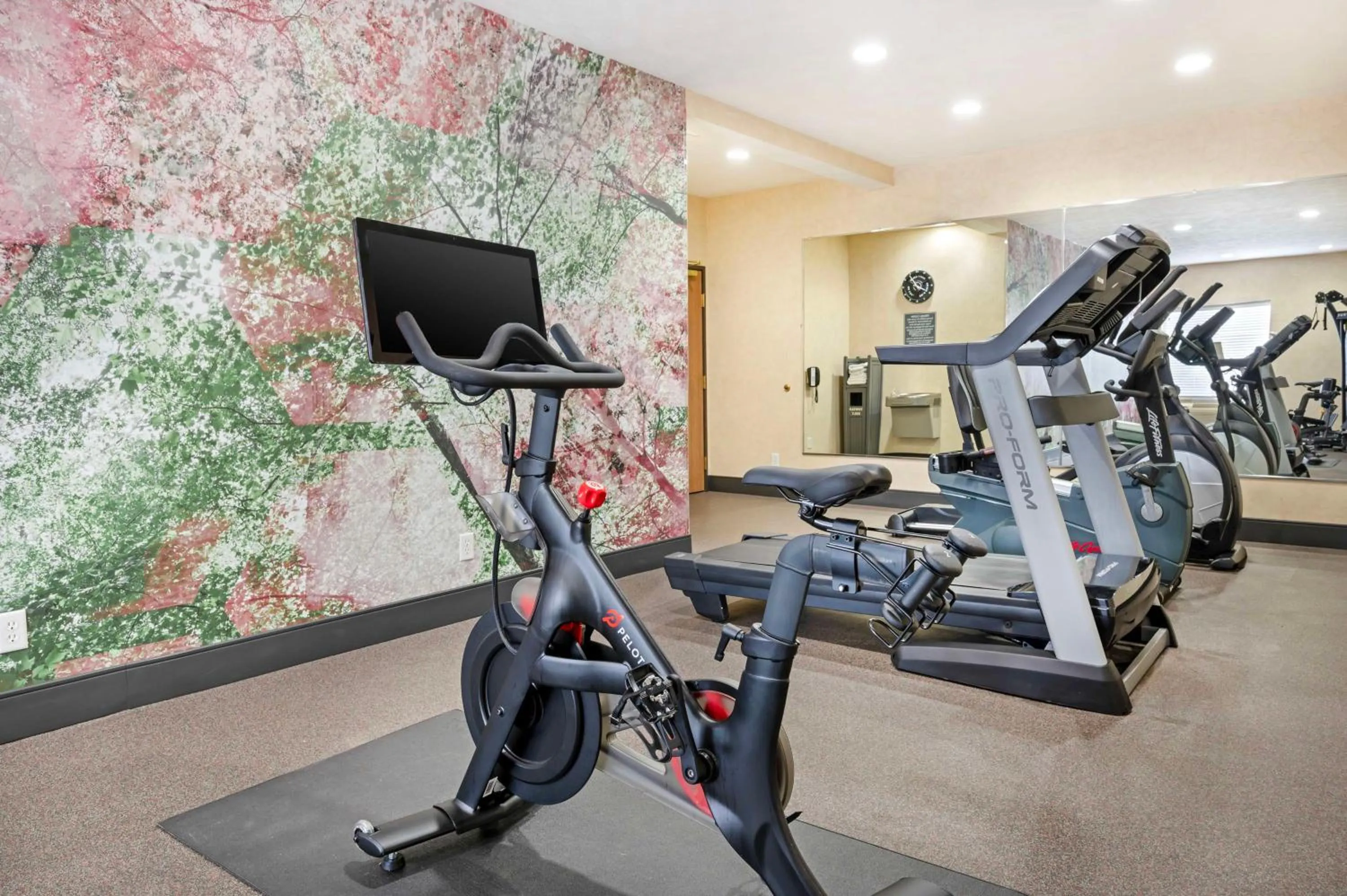 Fitness centre/facilities in Best Western Plus Howe Inn