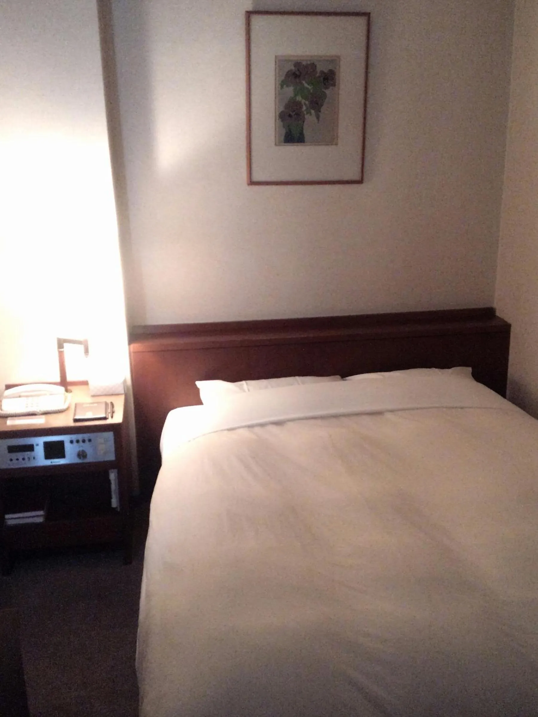 Photo of the whole room, Bed in Hotel Danrokan
