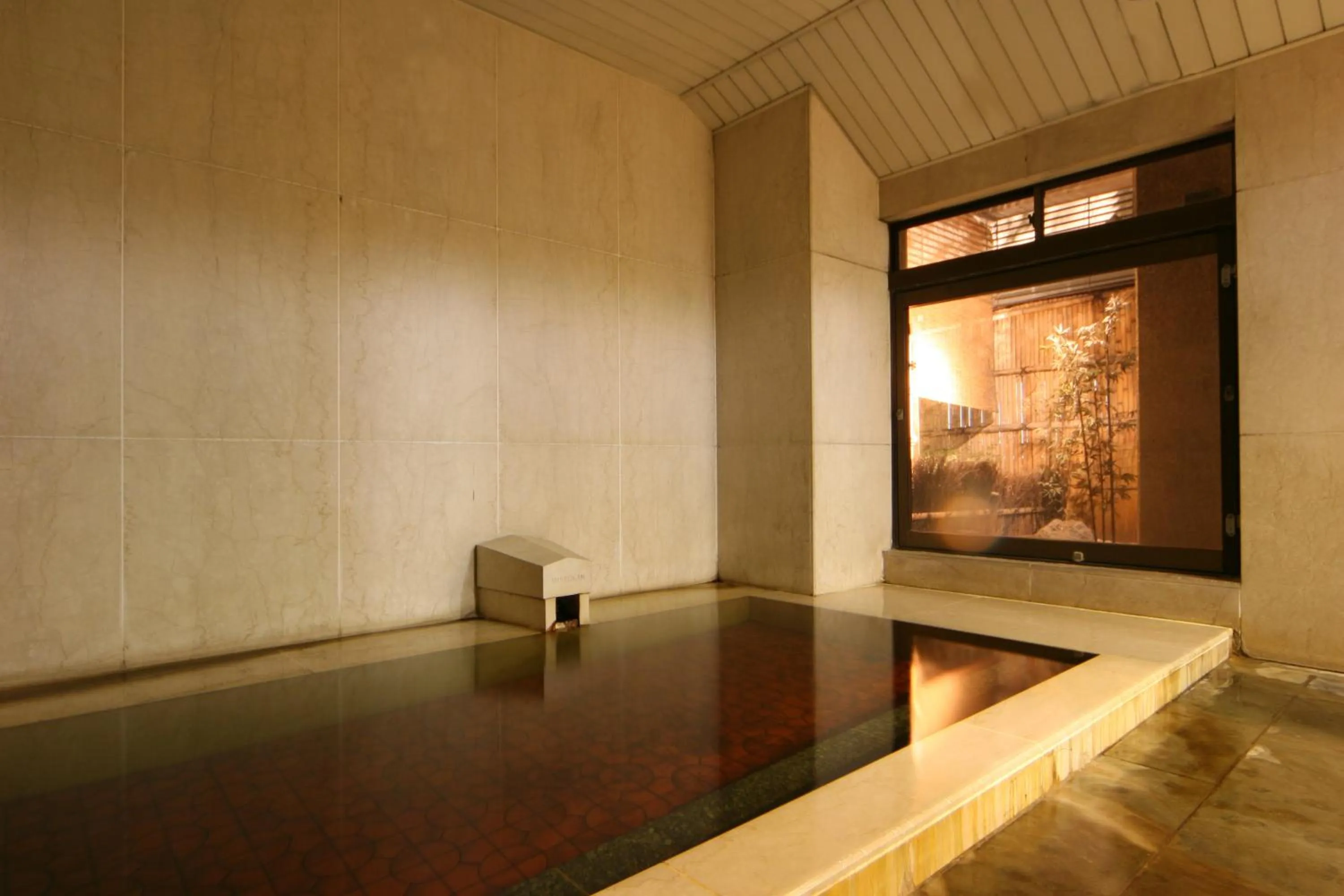 Hot Spring Bath in Hotel Danrokan