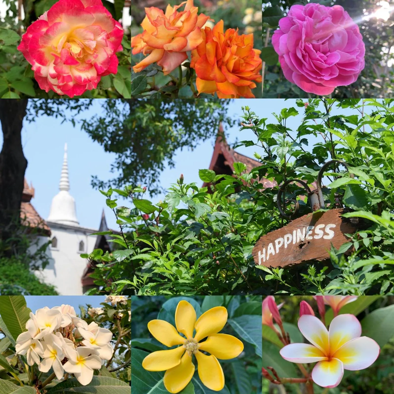 Ayutthaya Garden River Home