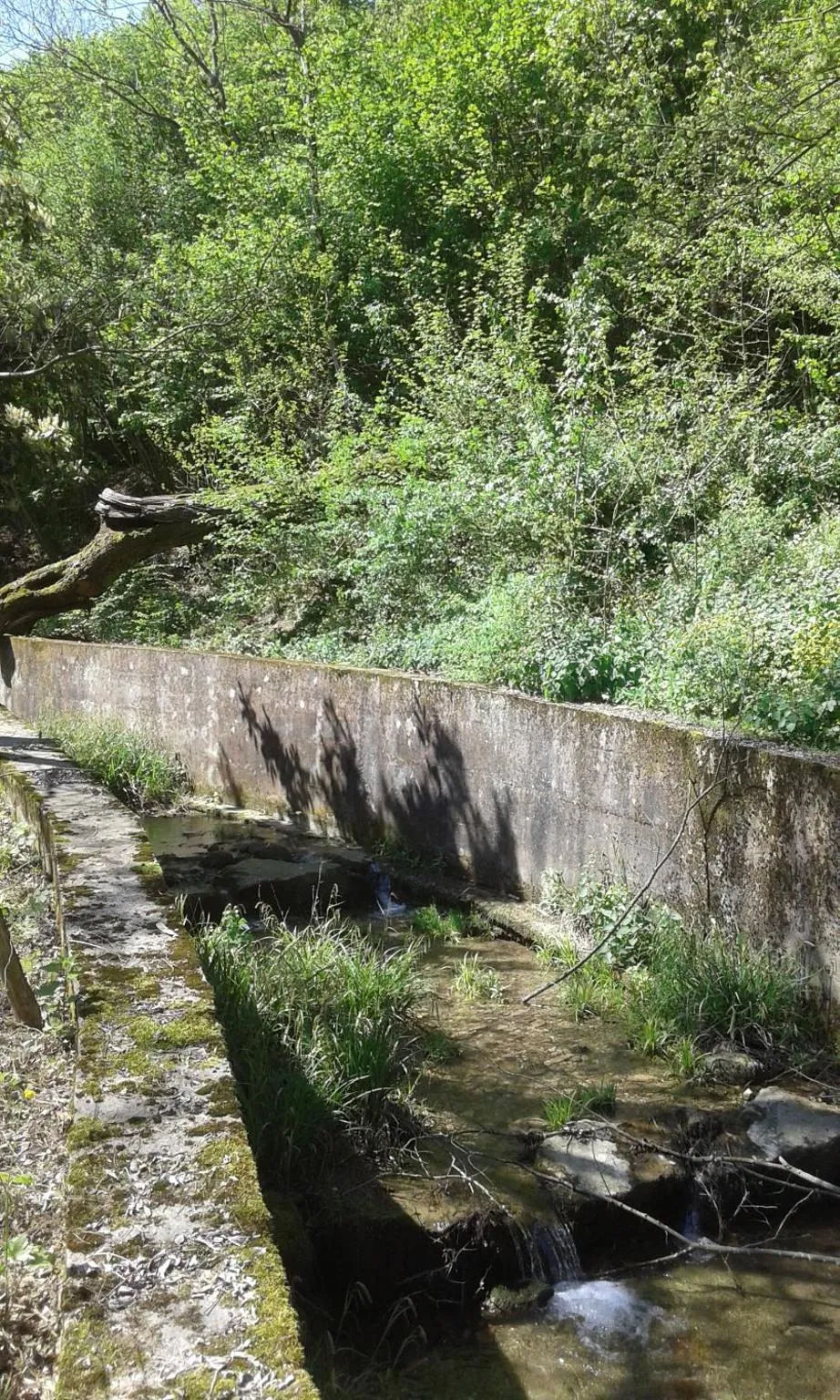 Property building in Il Borgo dei Molini