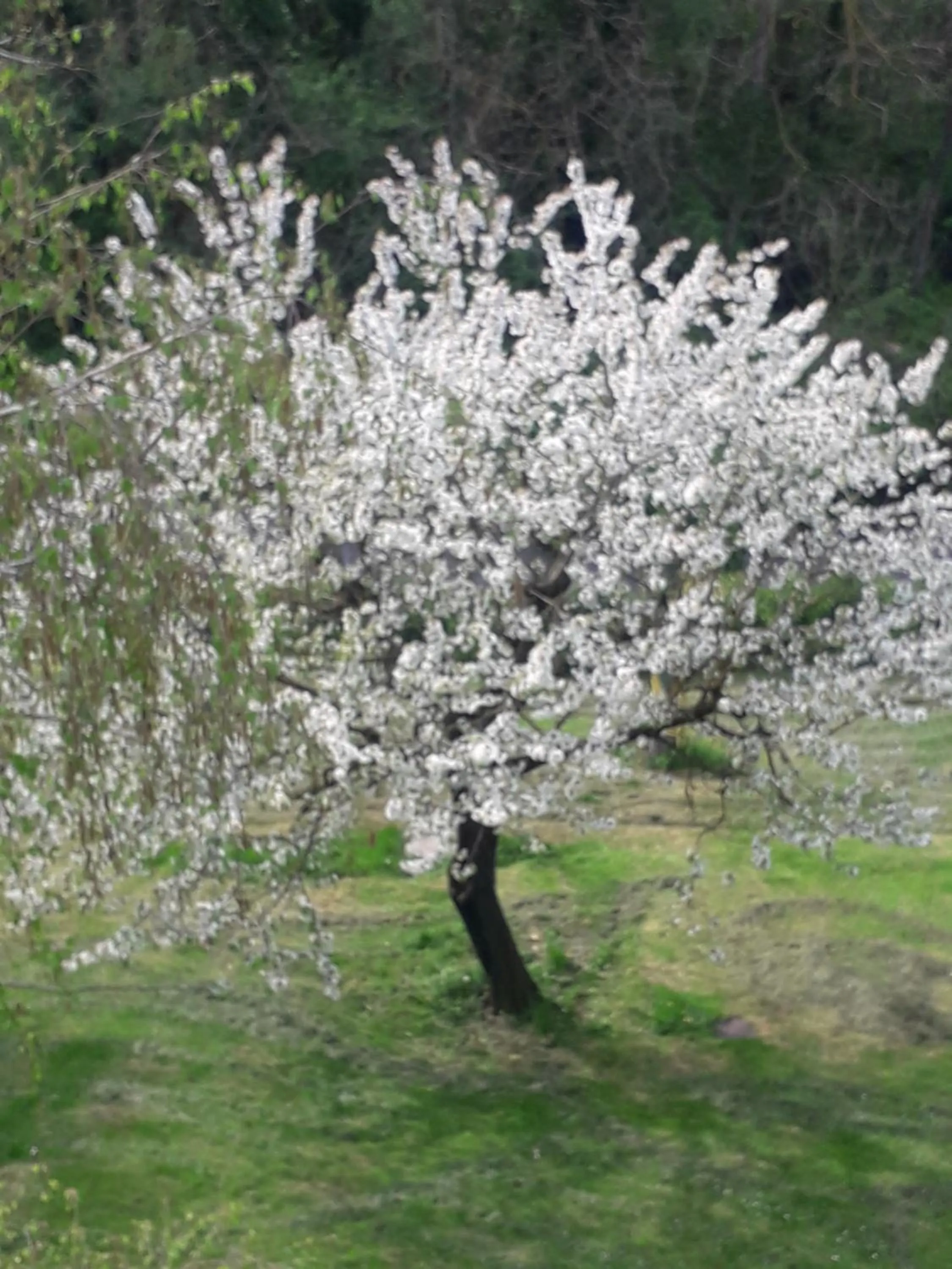 Natural landscape in Il Borgo dei Molini