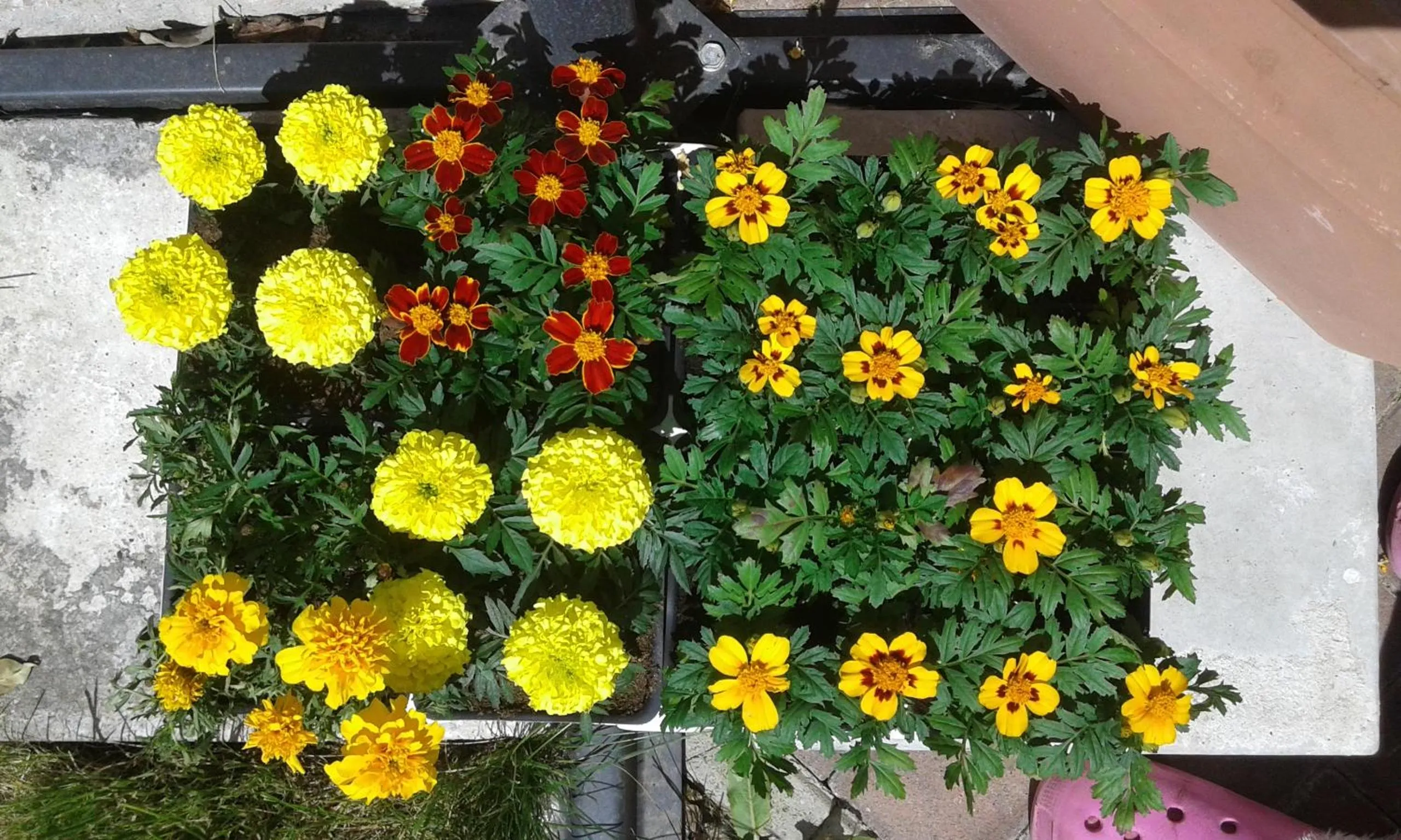 Property building in Il Borgo dei Molini