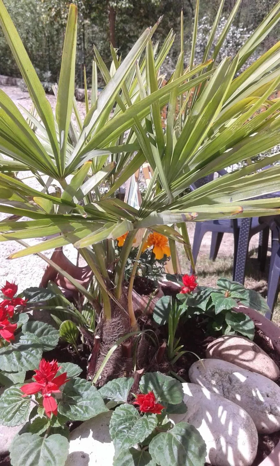 Property building in Il Borgo dei Molini