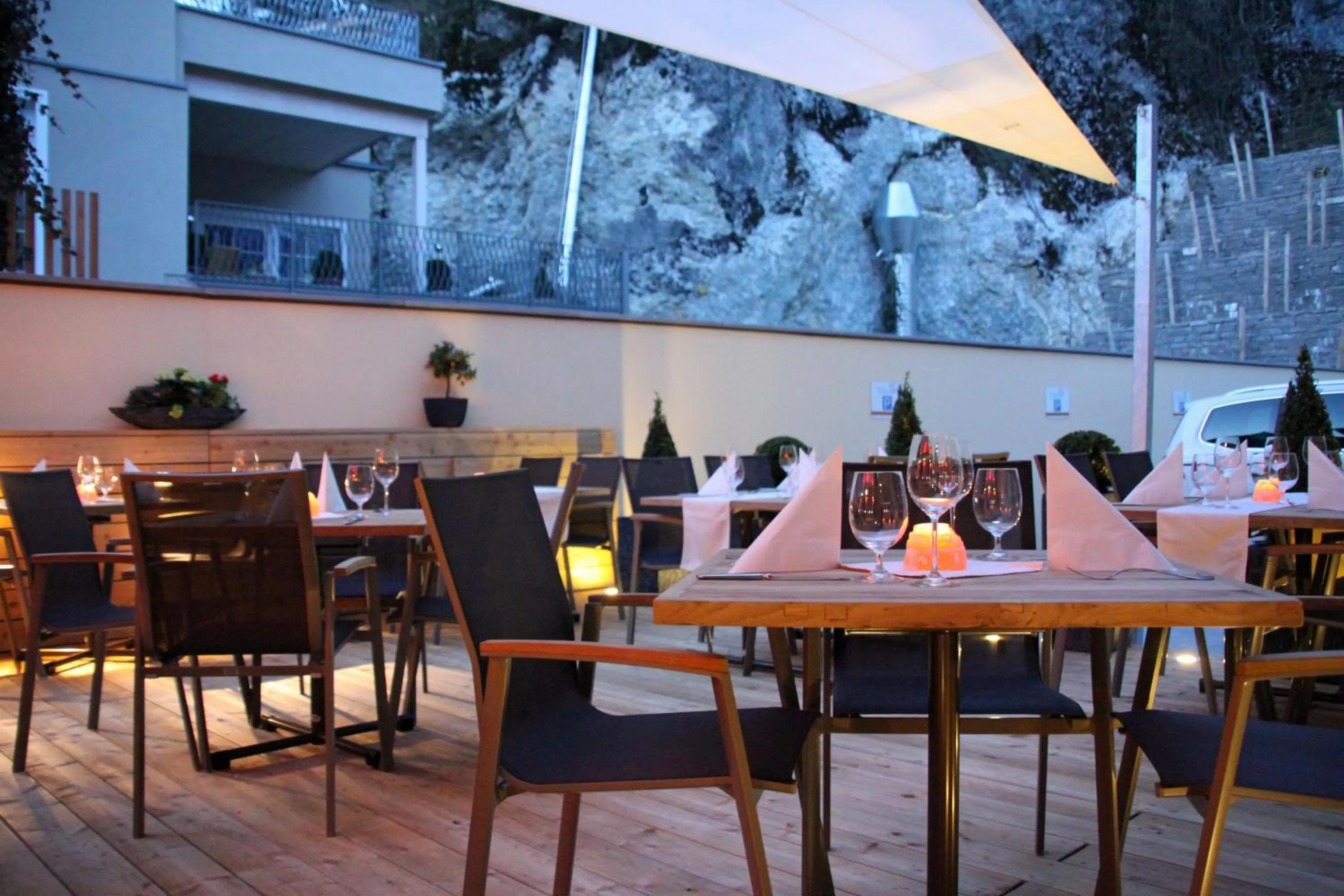 Restaurant/places to eat in Hotel Adler