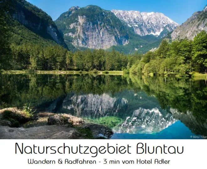 Nearby landmark in Hotel Adler