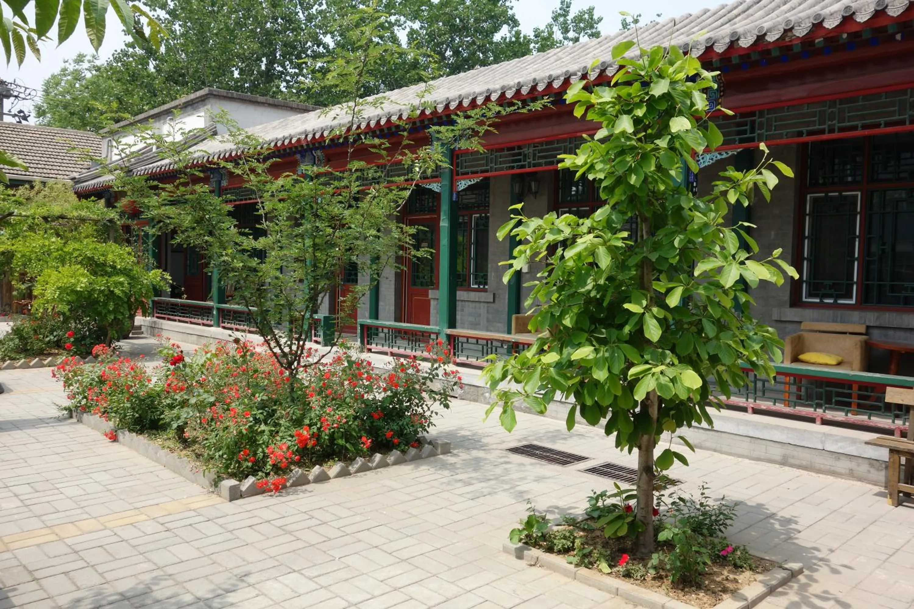 Garden, Property Building in Ming Courtyard