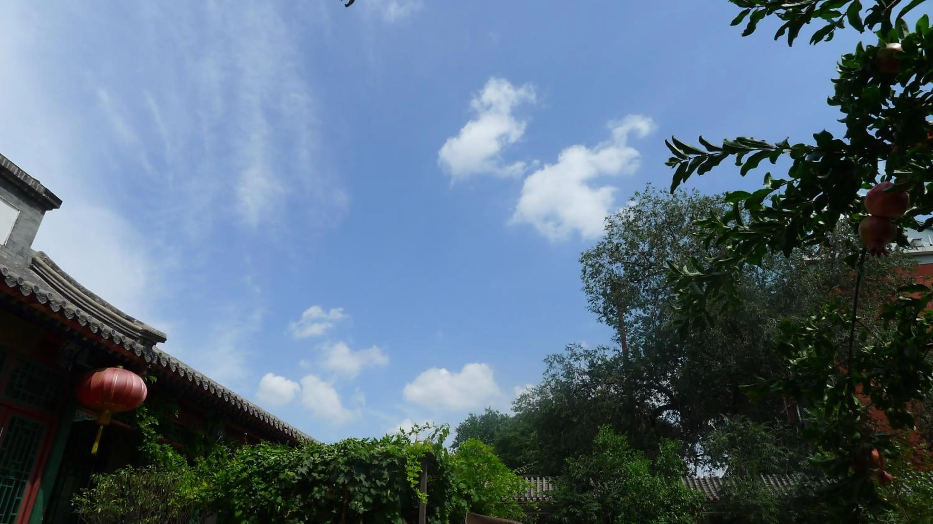 Day in Ming Courtyard