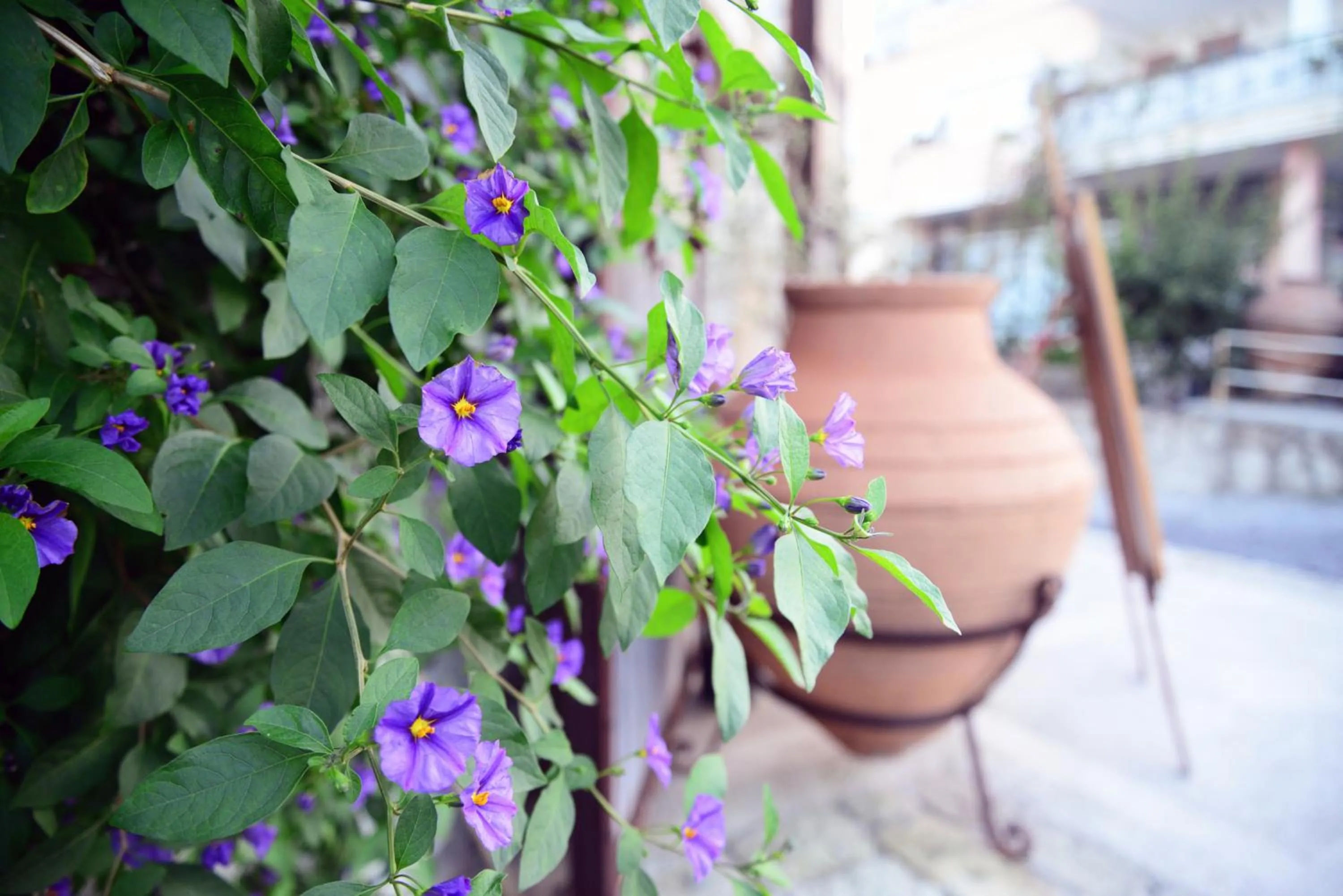 Facade/entrance in Imren Han Hotel - Special Category