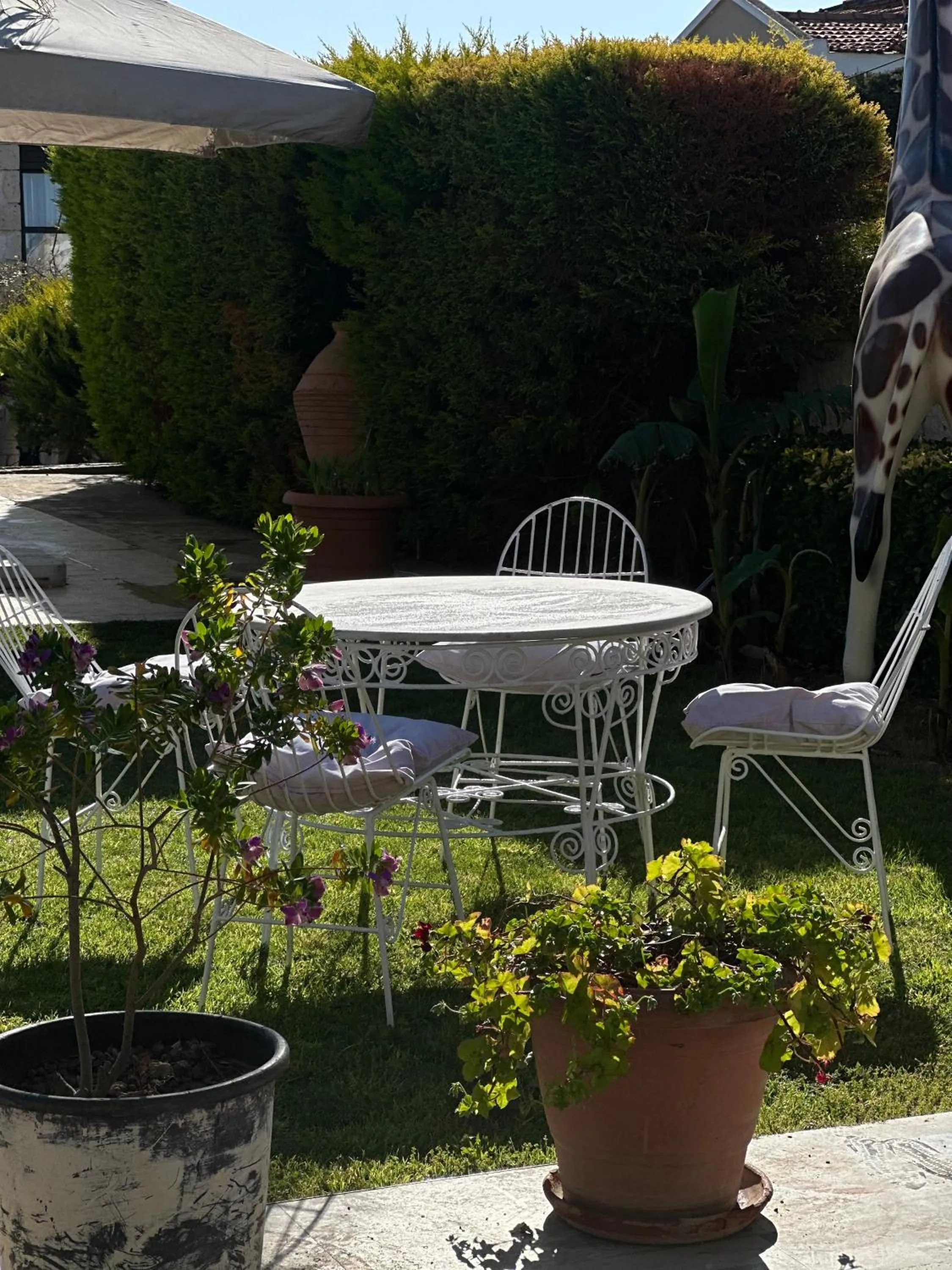 Garden view in Imren Han Hotel - Special Category